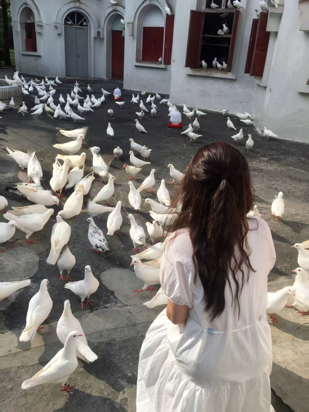 图片附件