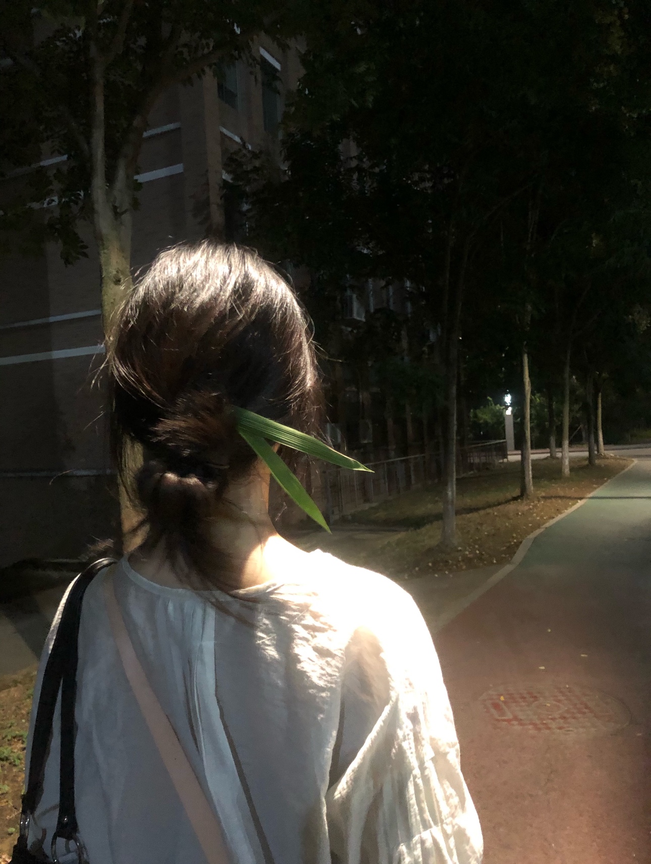 图片附件