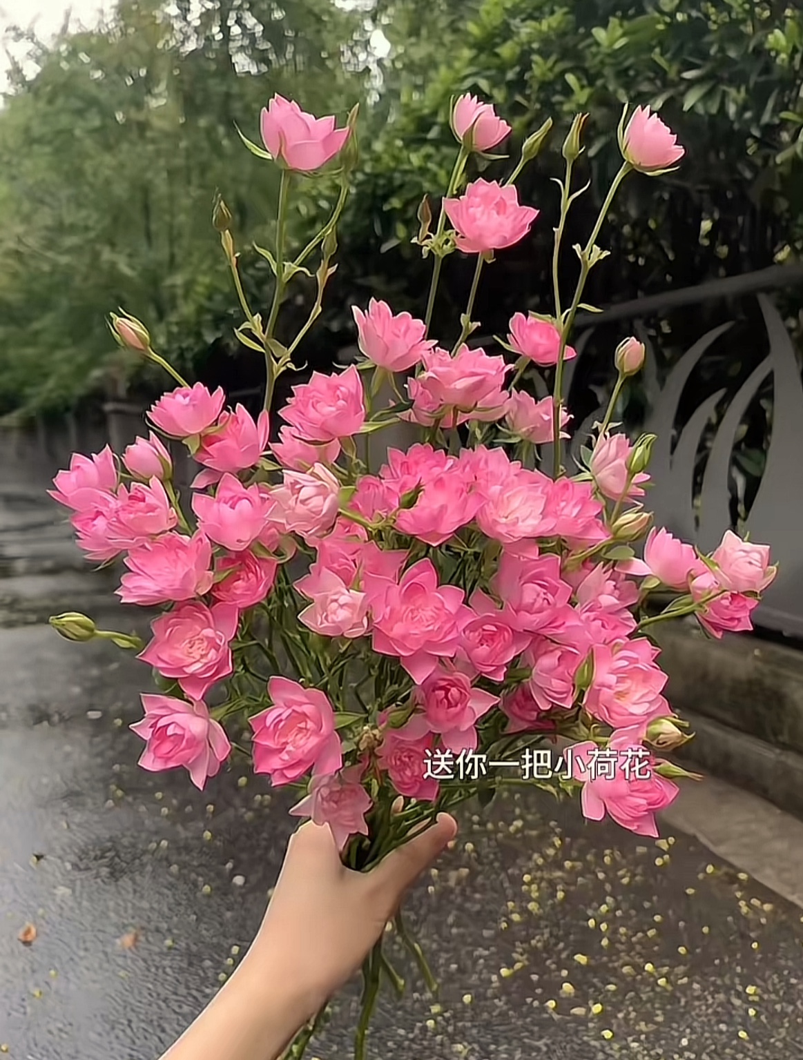 图片附件