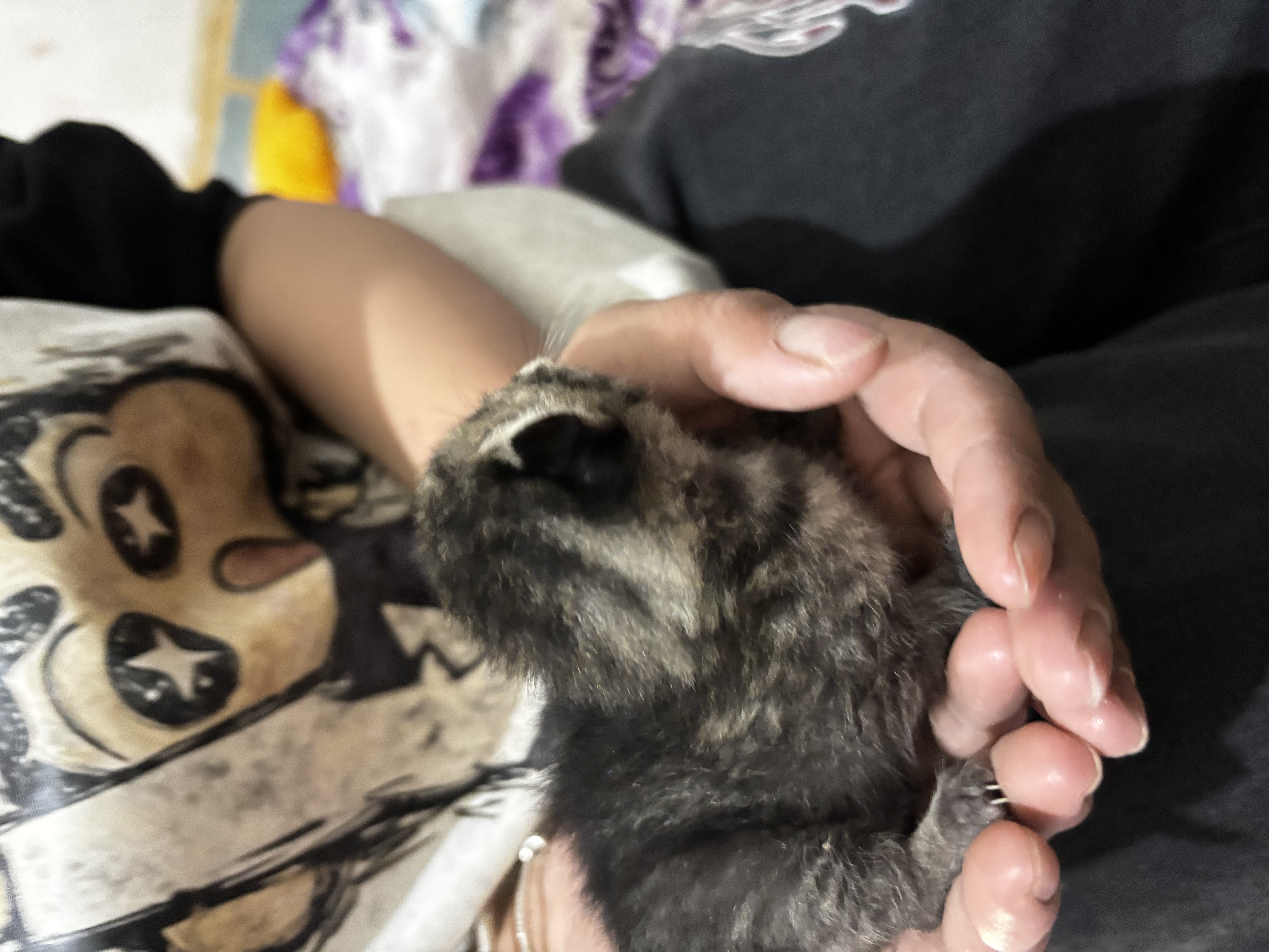 图片附件