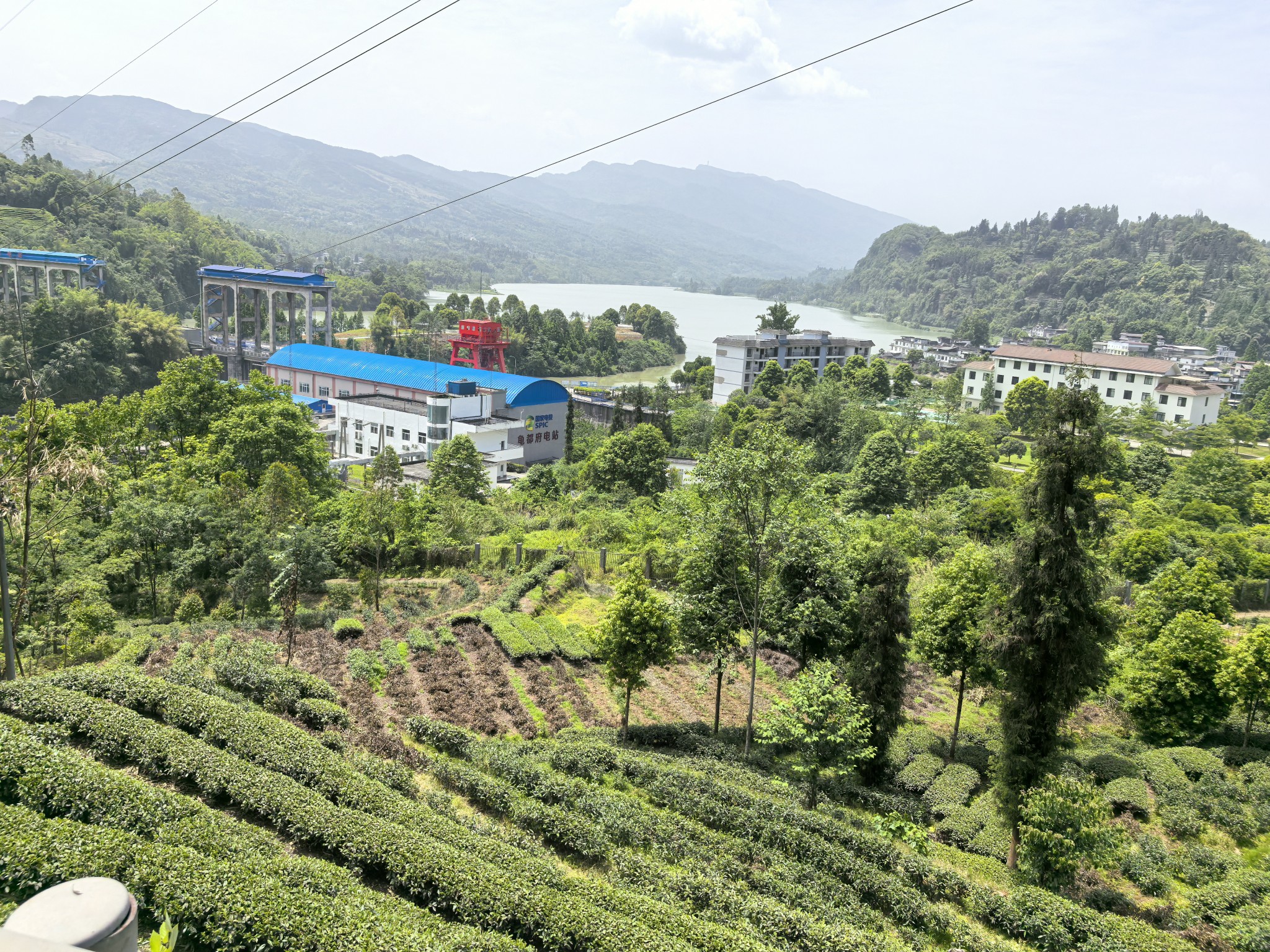 图片附件