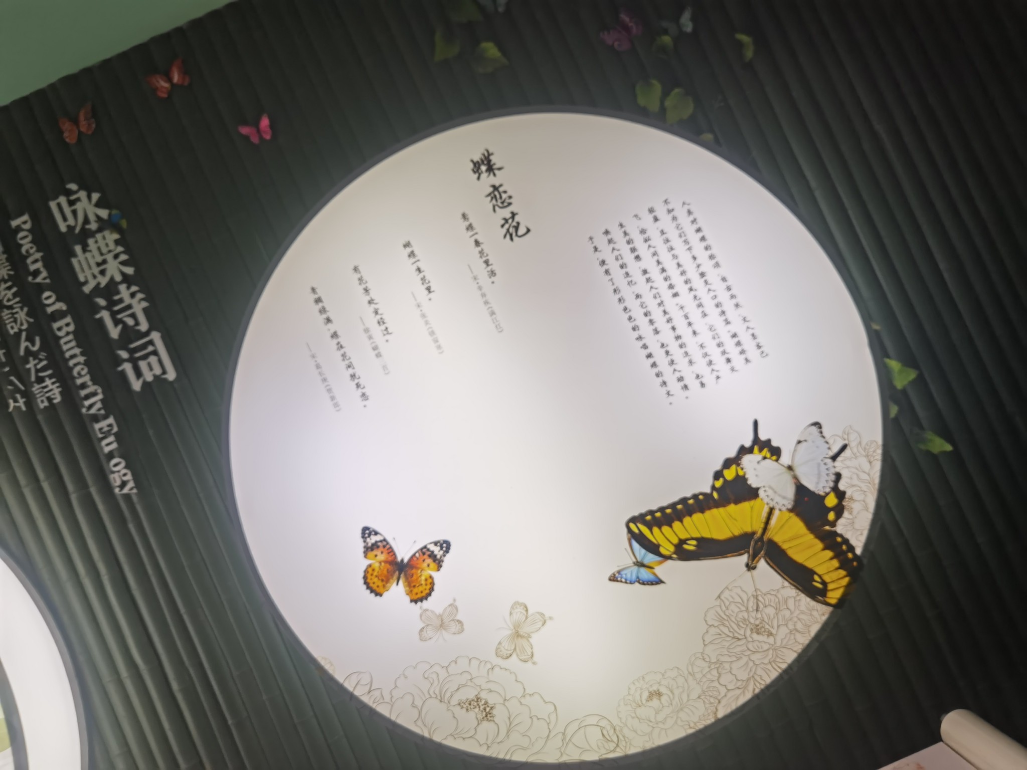 图片附件