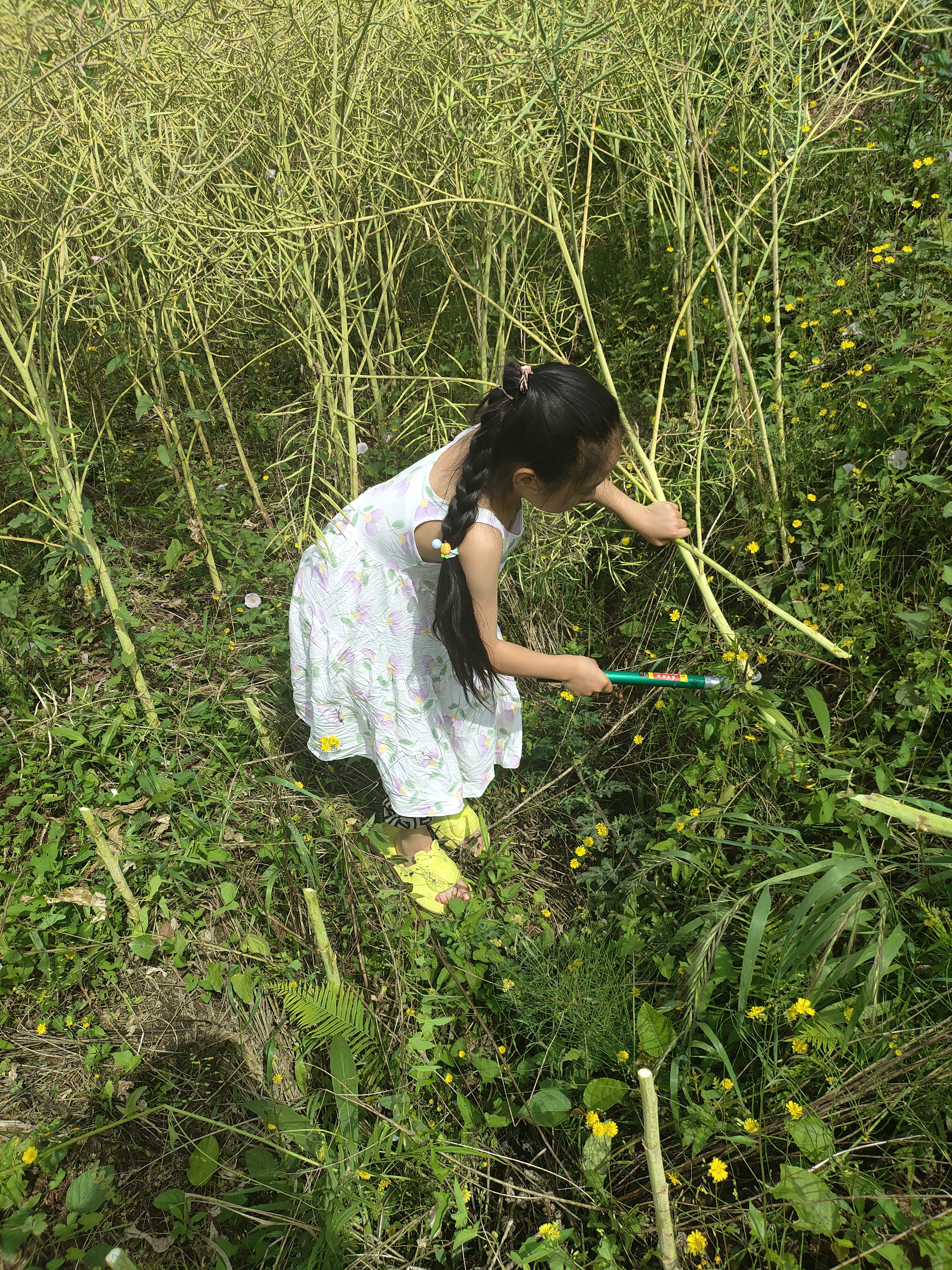 图片附件