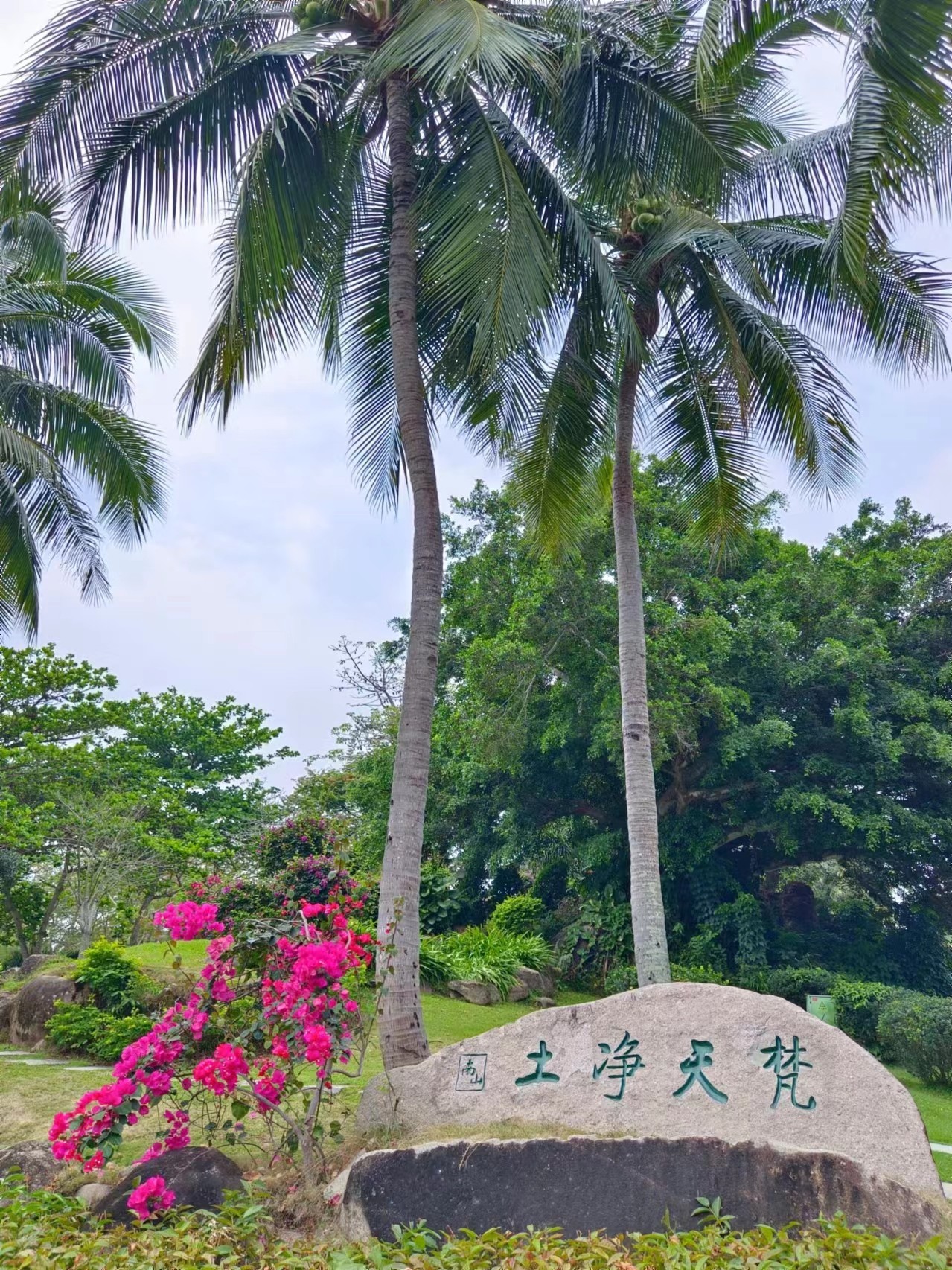图片附件