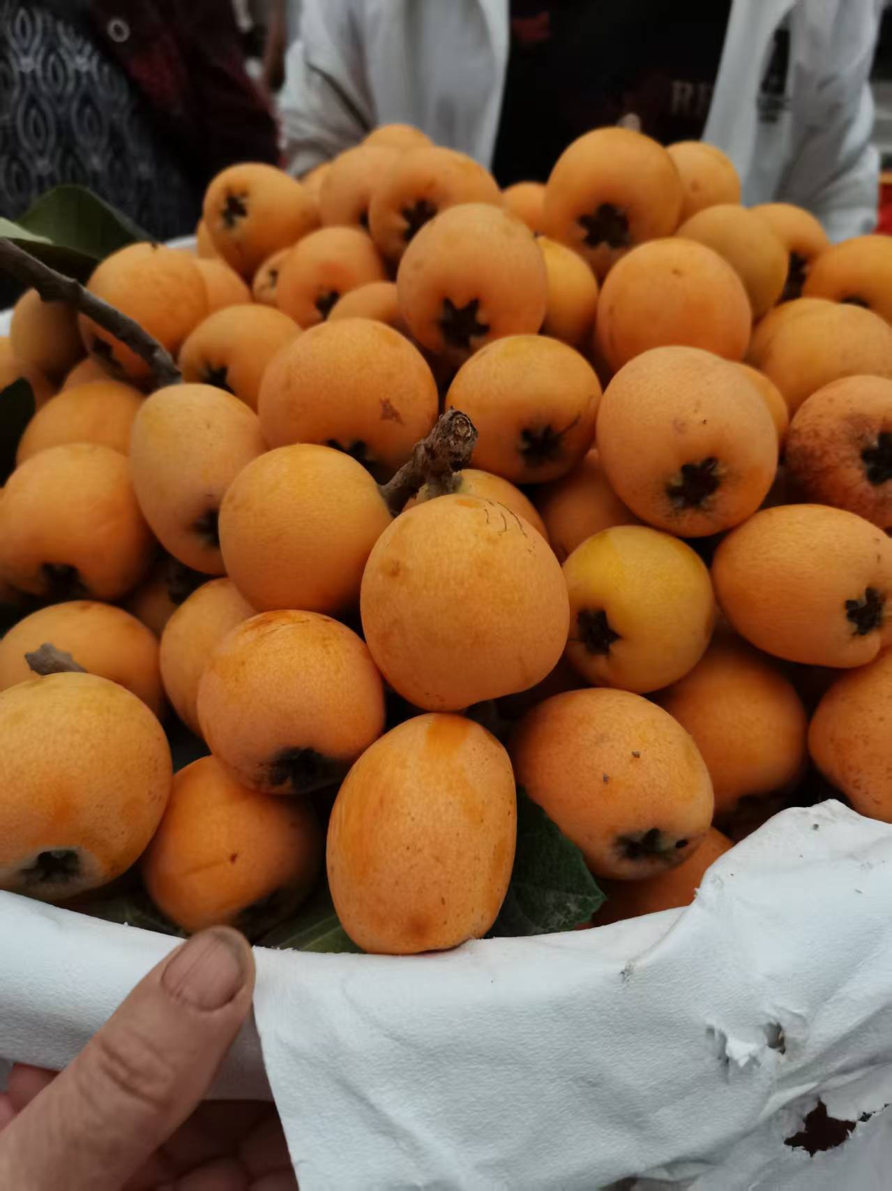 图片附件