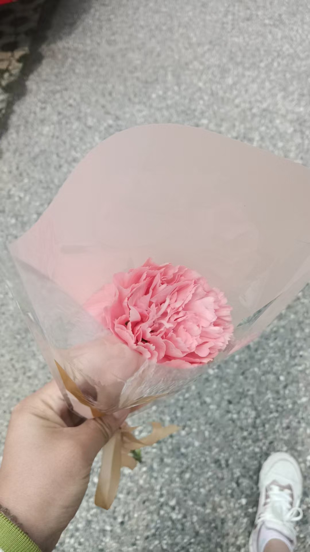图片附件