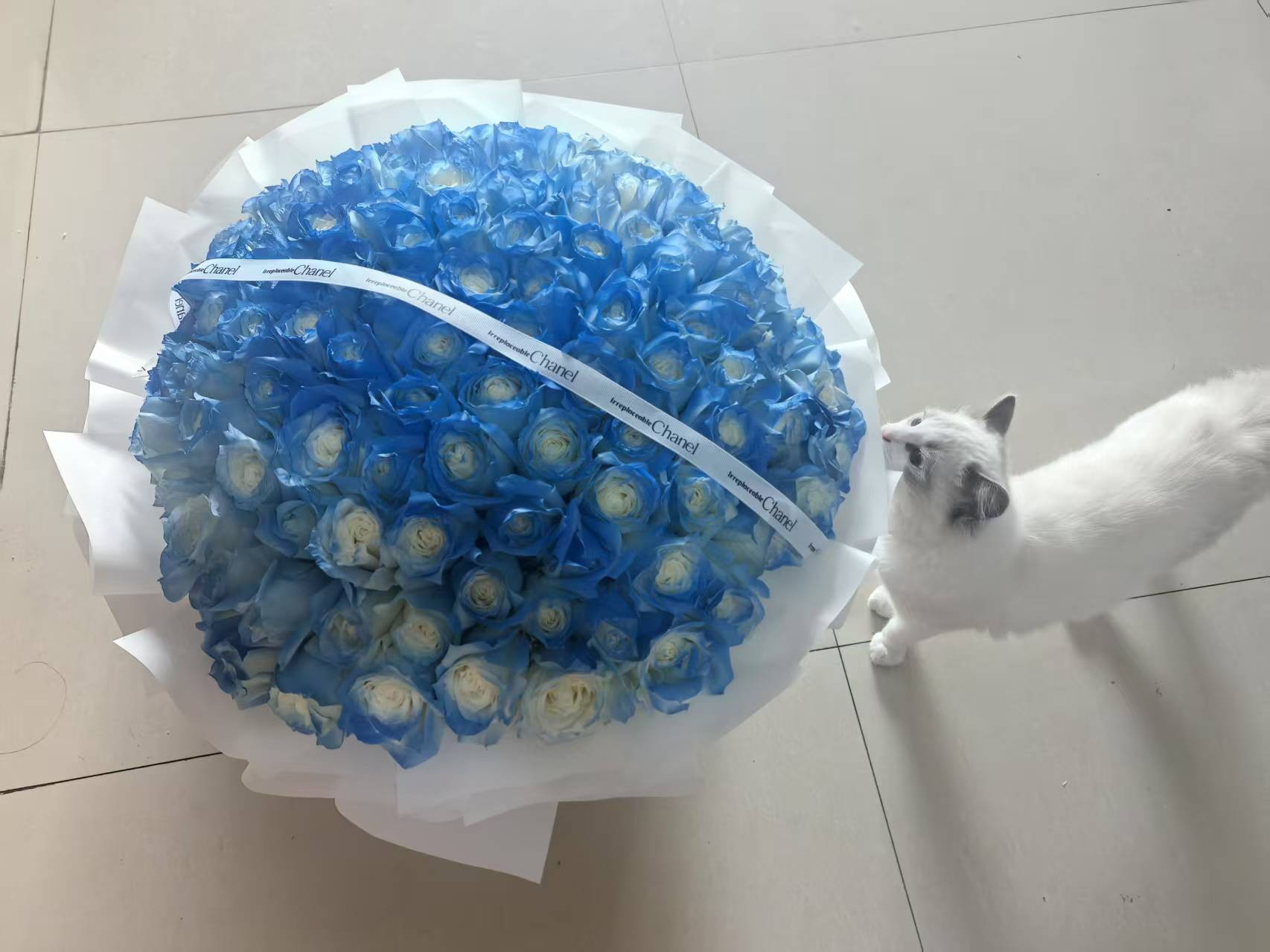 图片附件