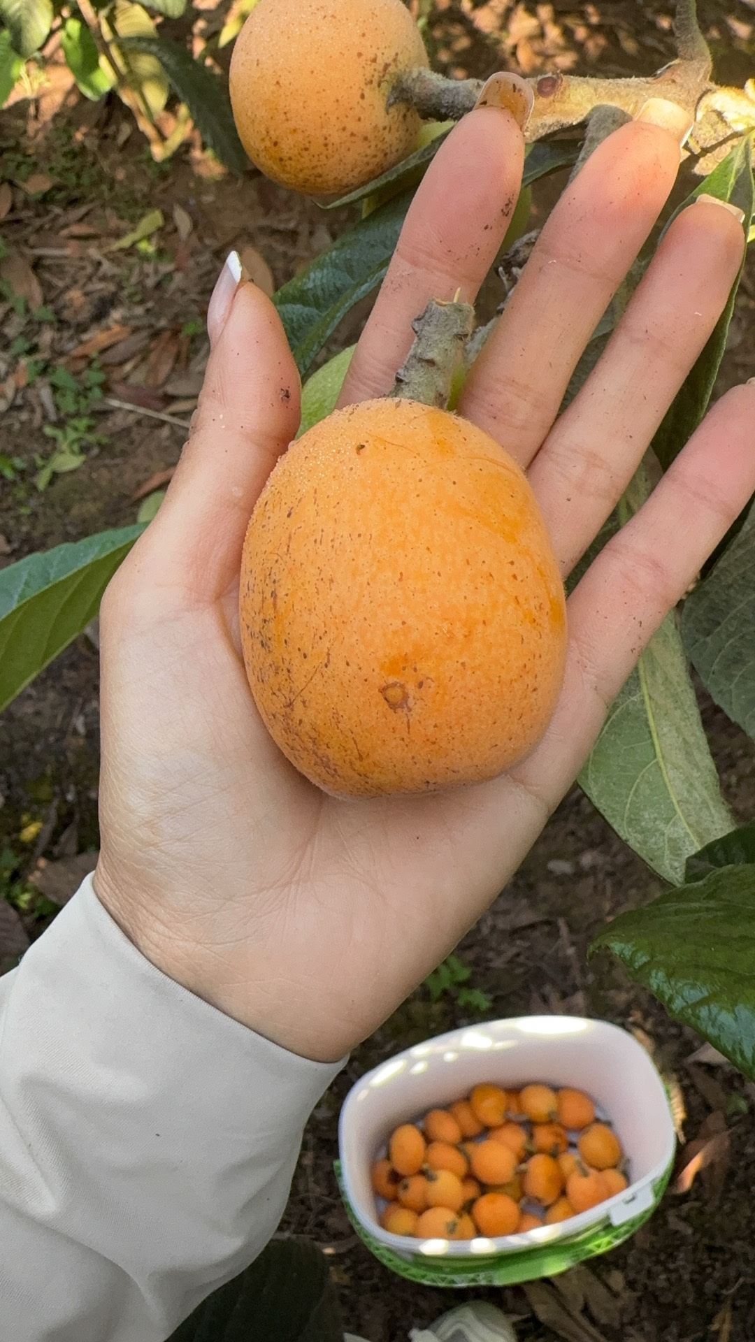 图片附件