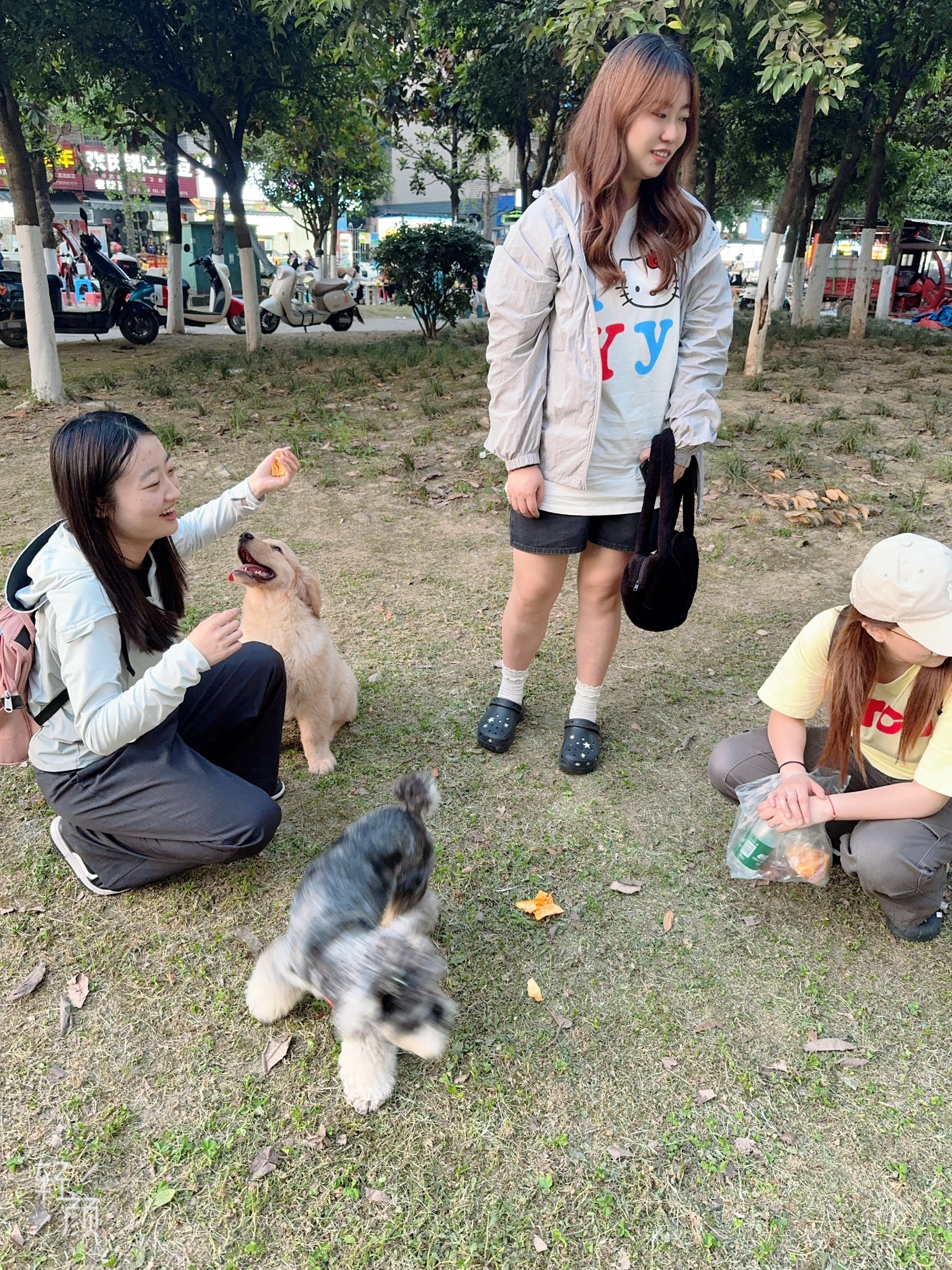 图片附件
