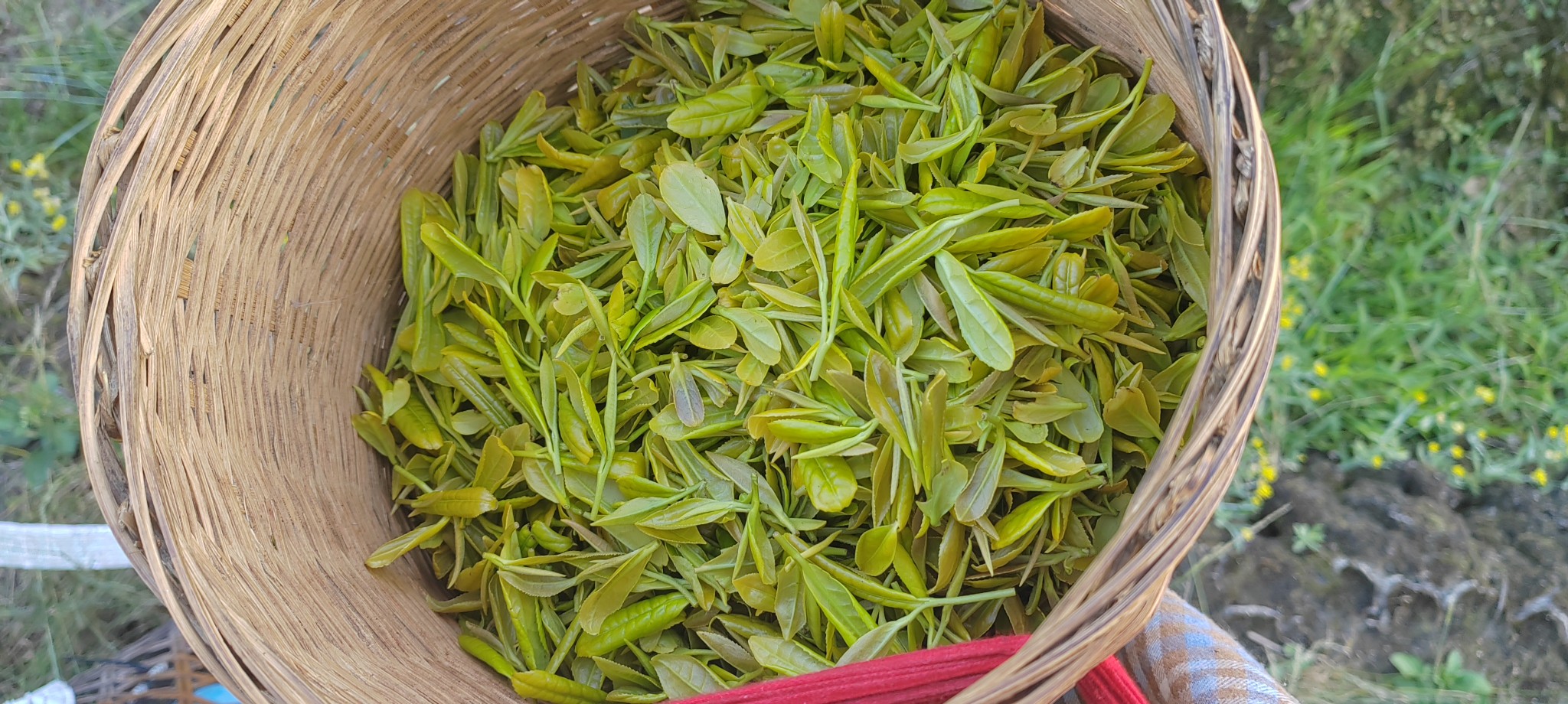 图片附件