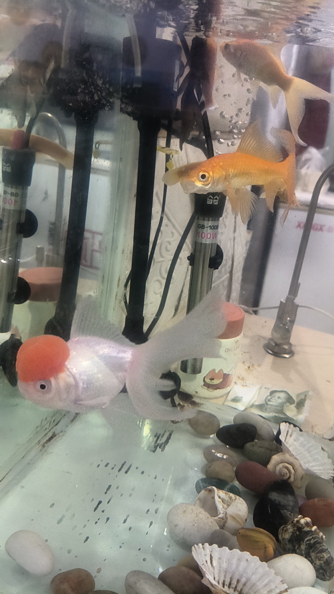 图片附件