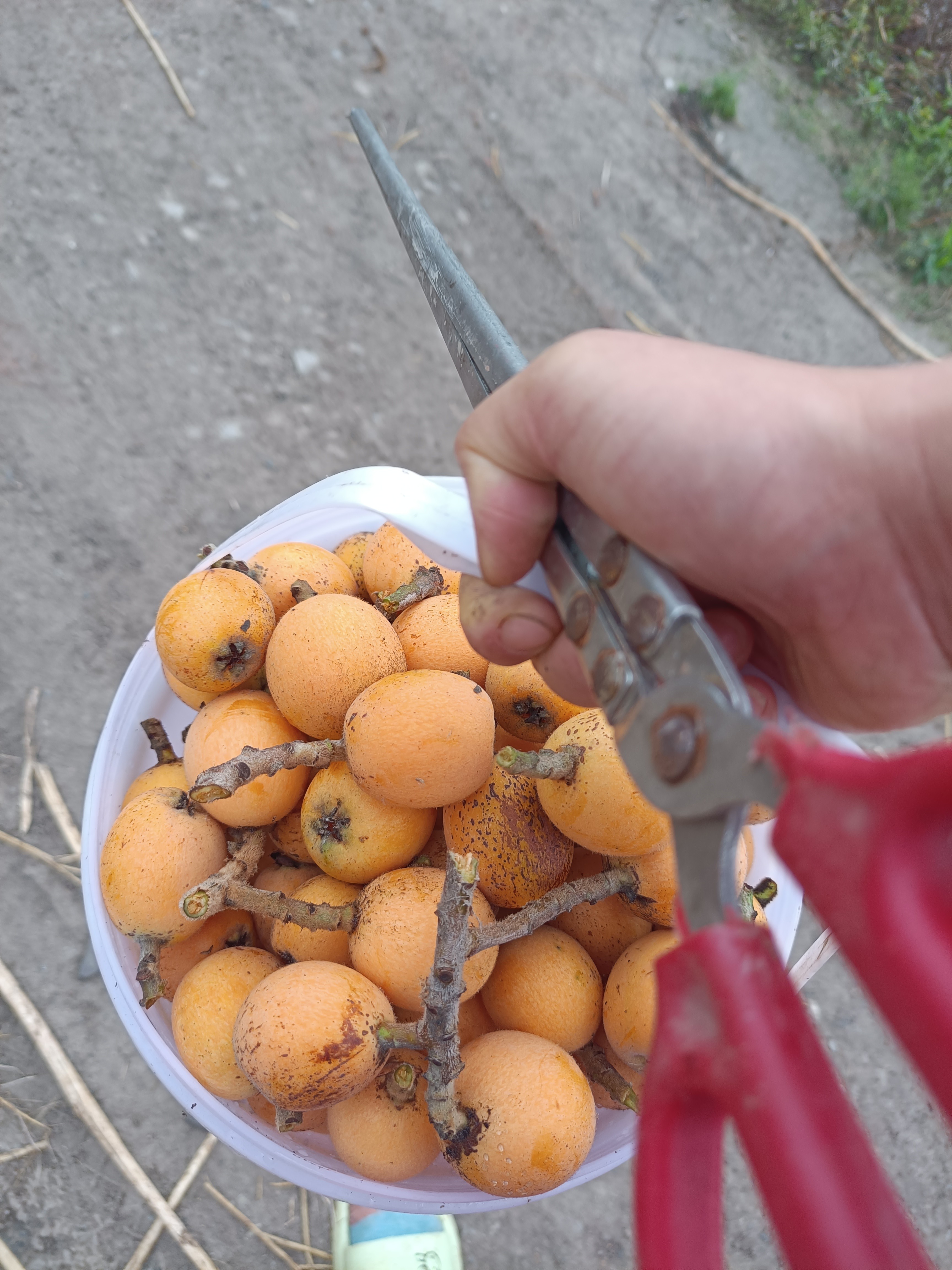 图片附件
