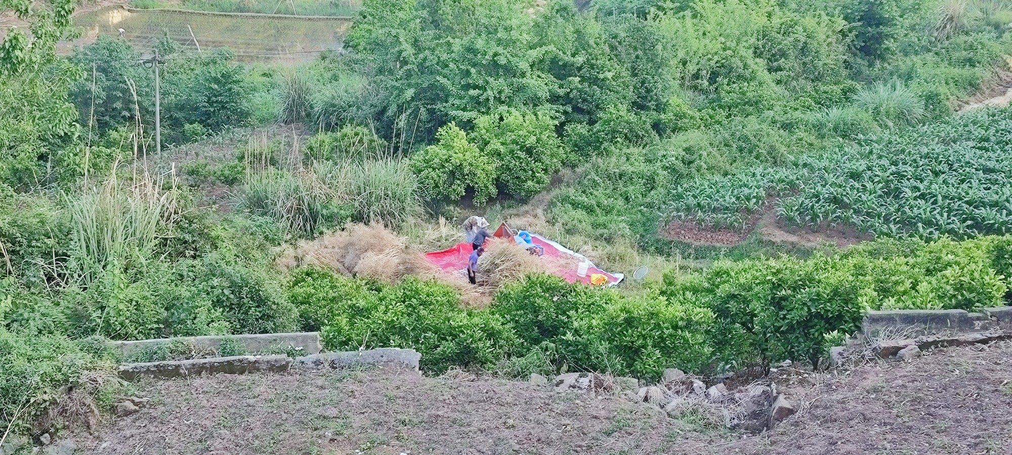 图片附件