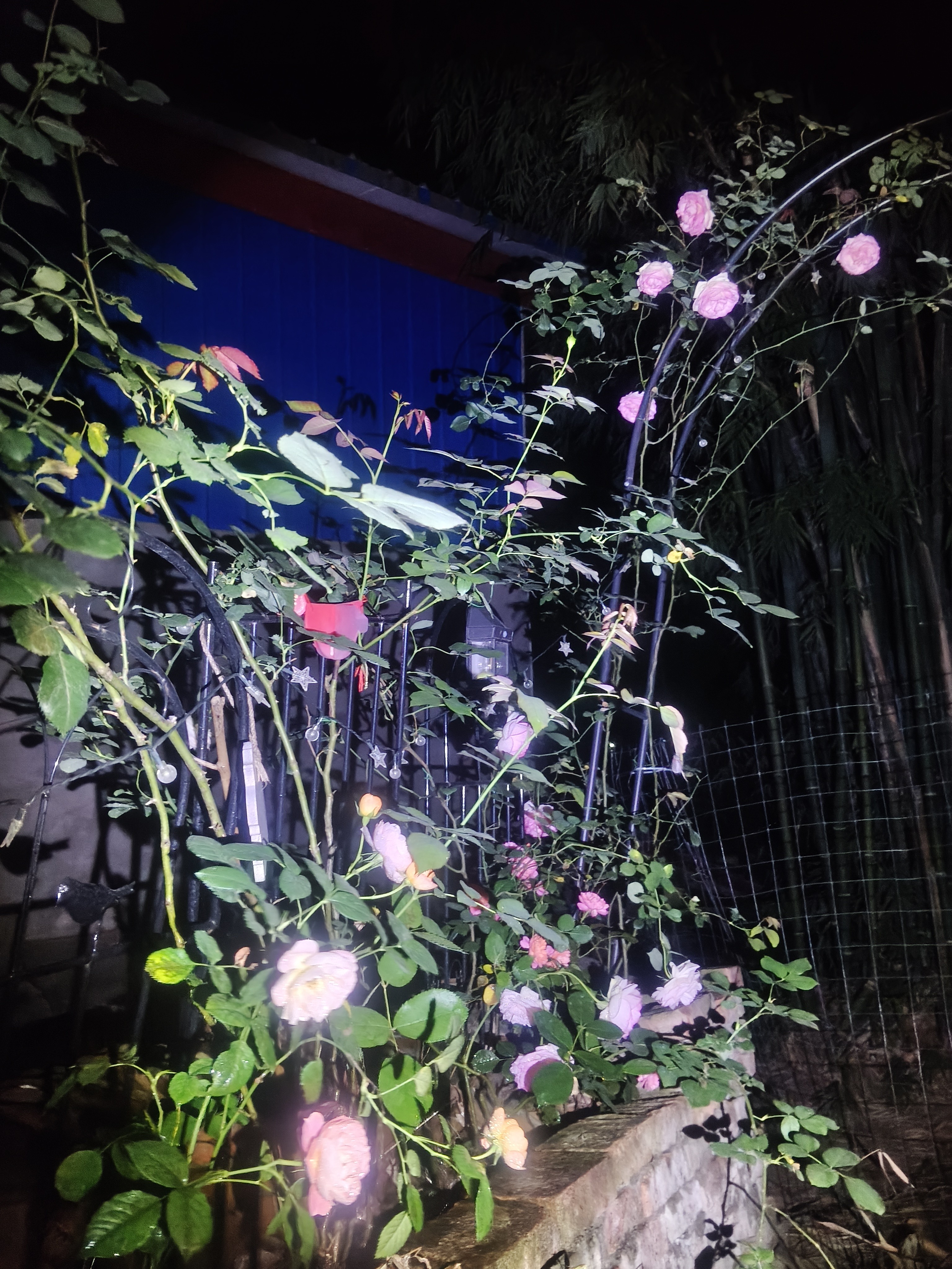 图片附件