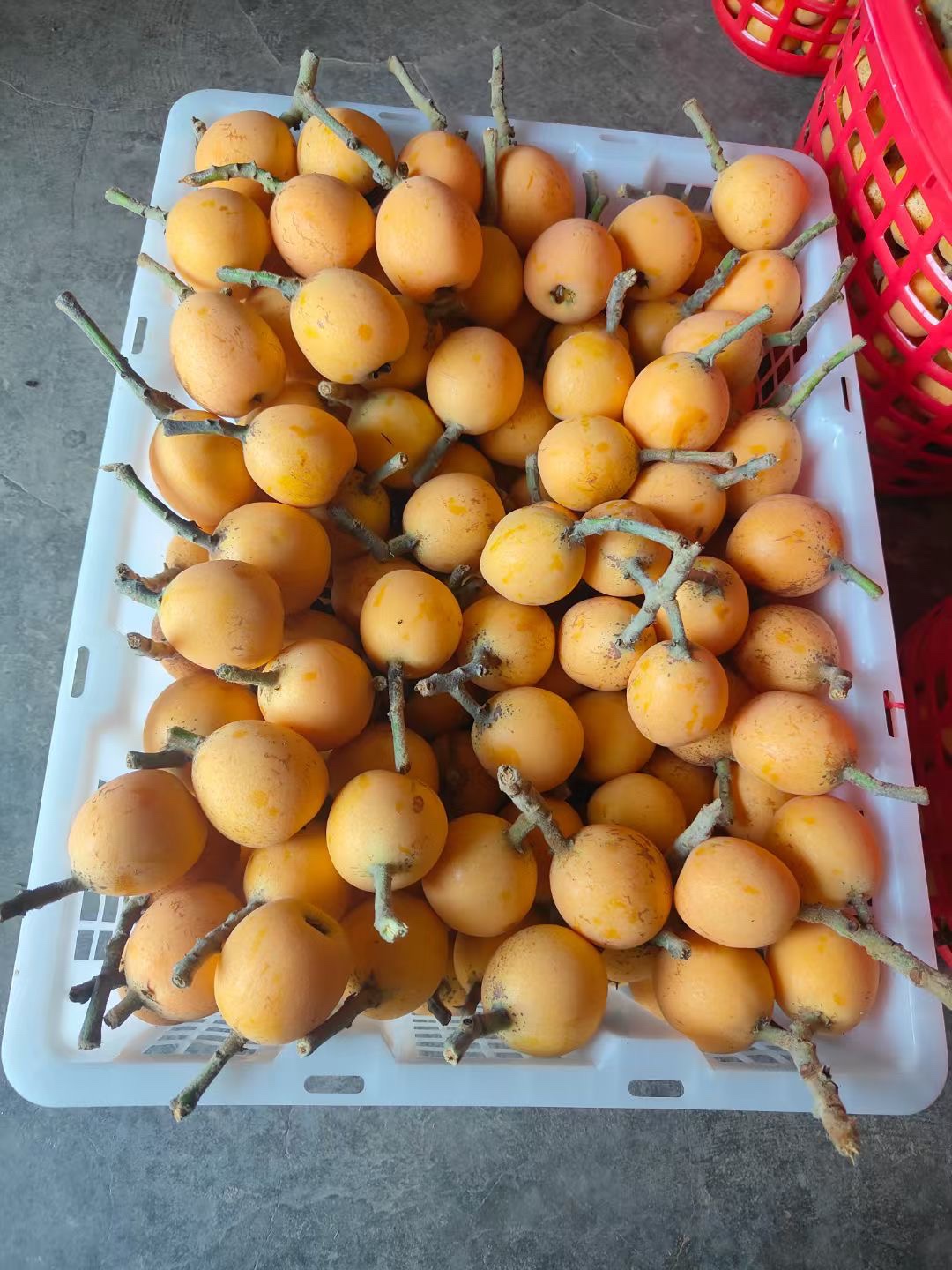 图片附件
