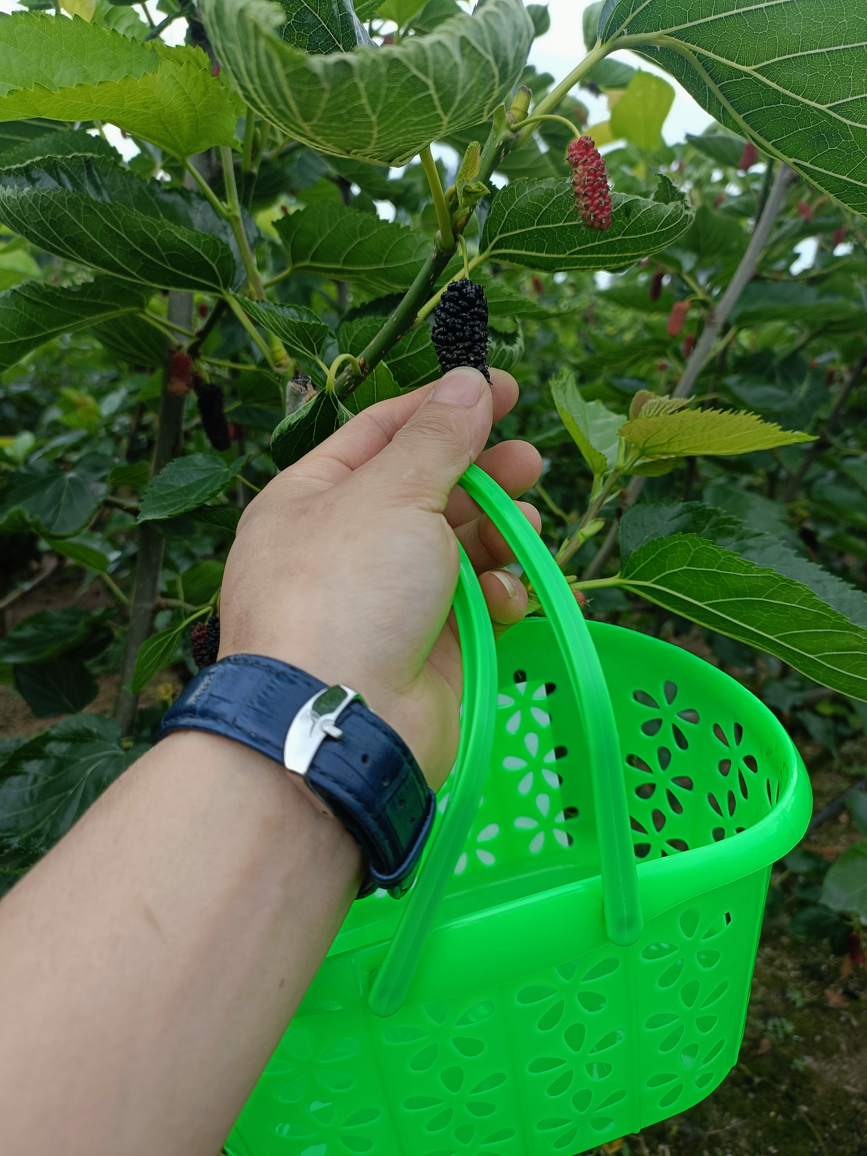 图片附件