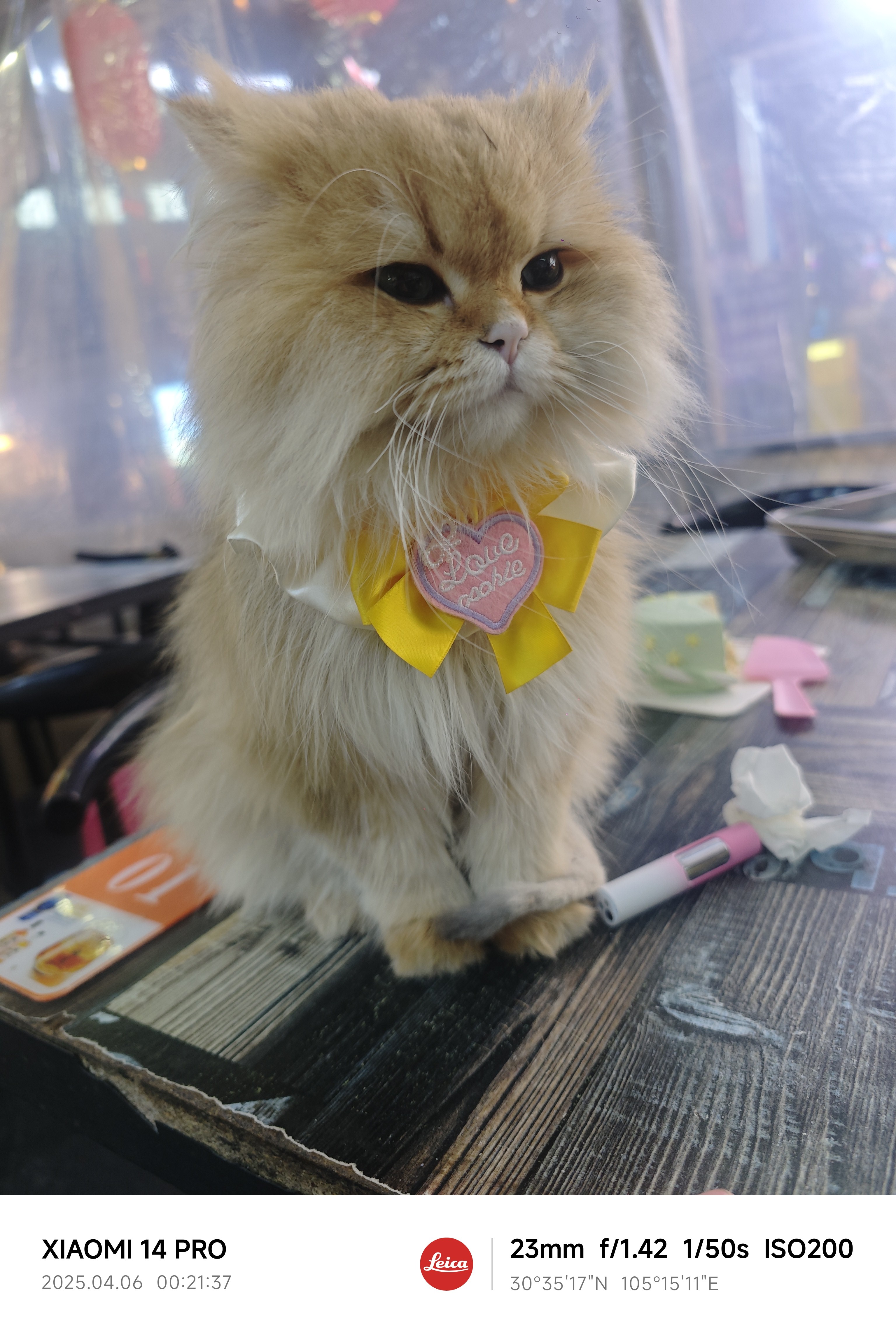 图片附件