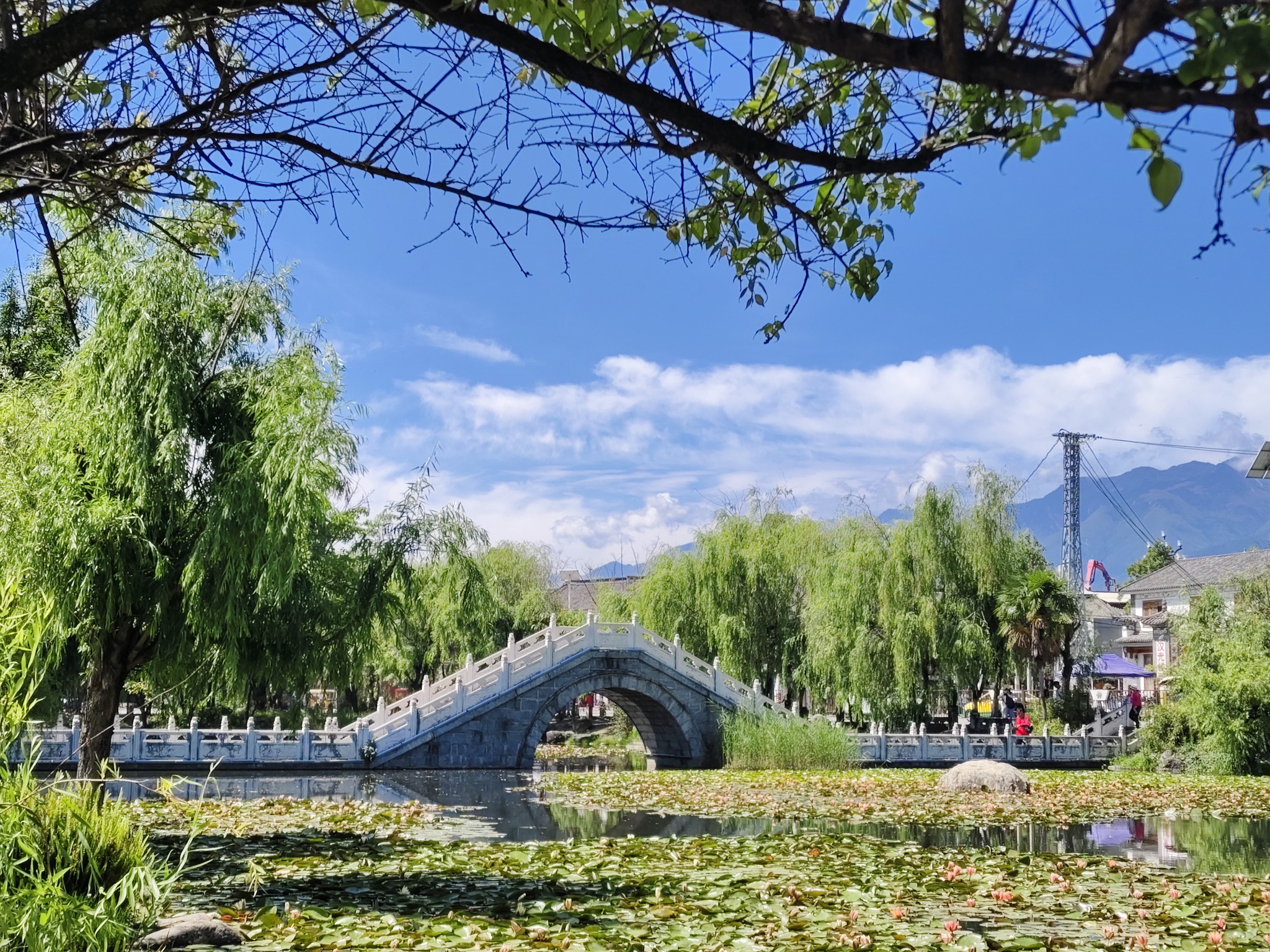 图片附件