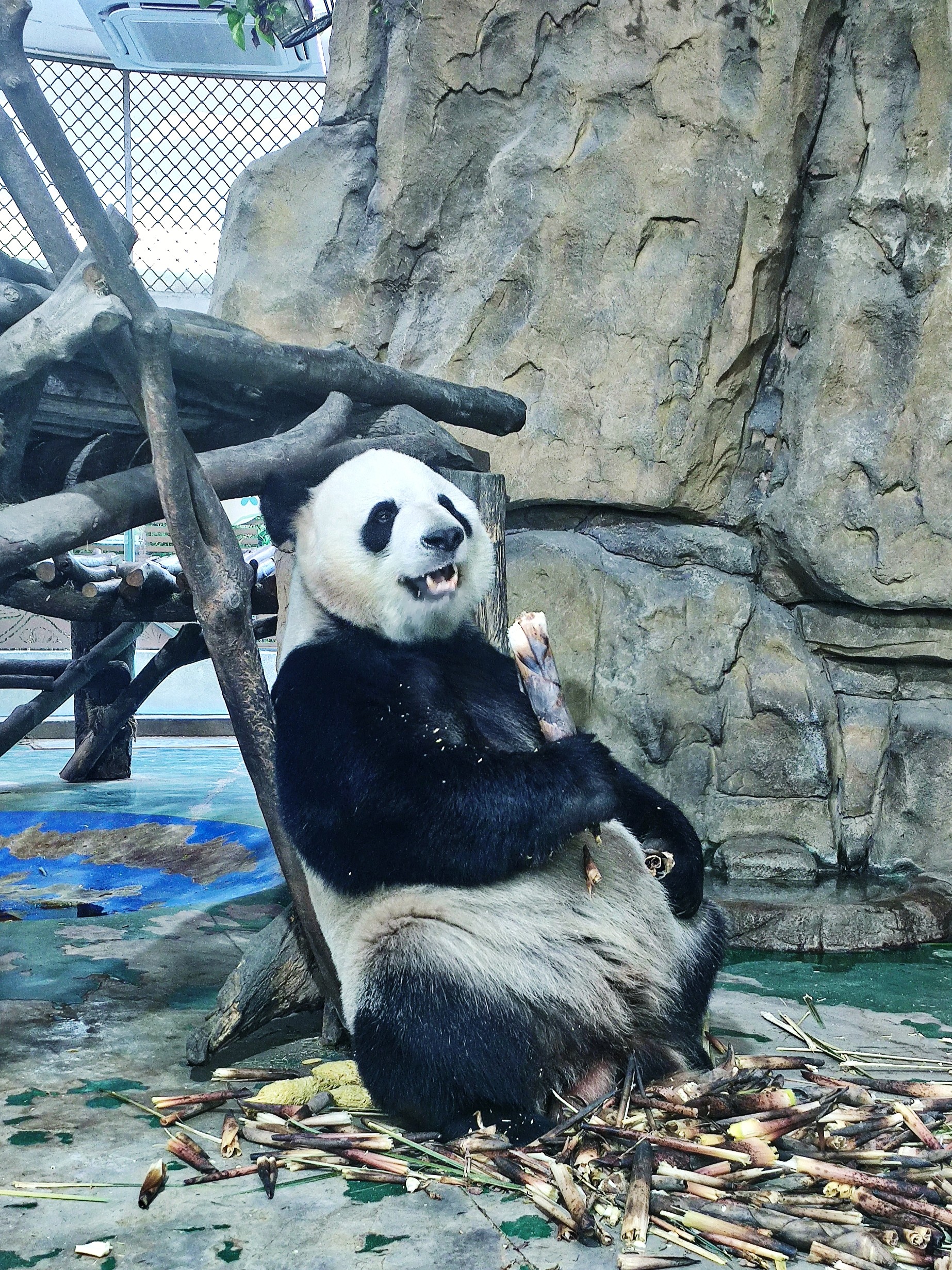 图片附件