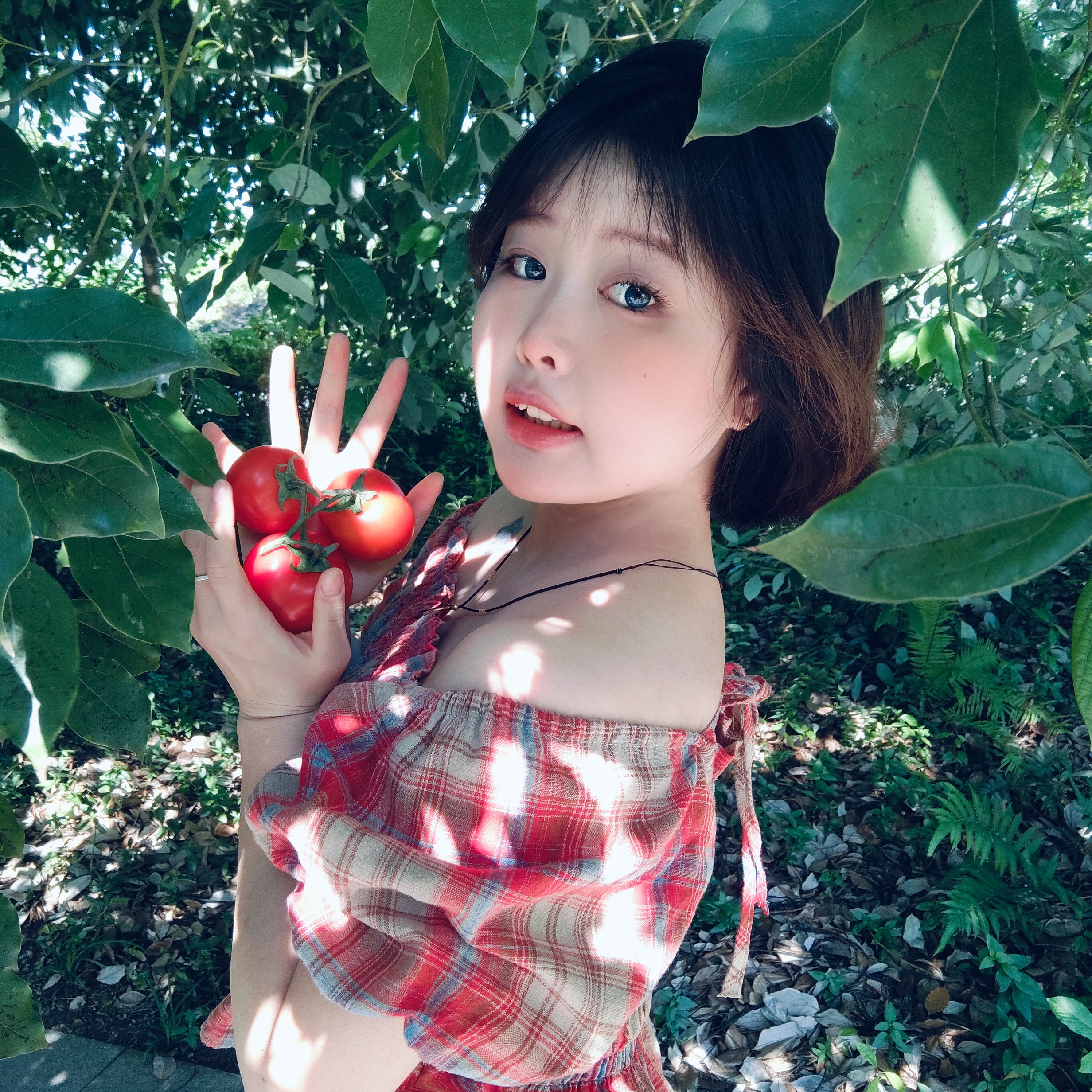 图片附件