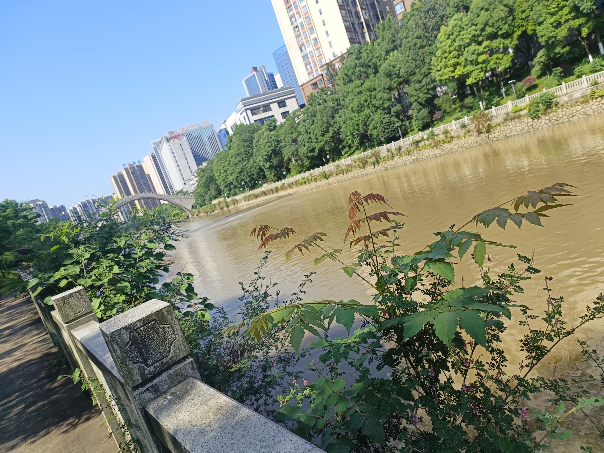 图片附件