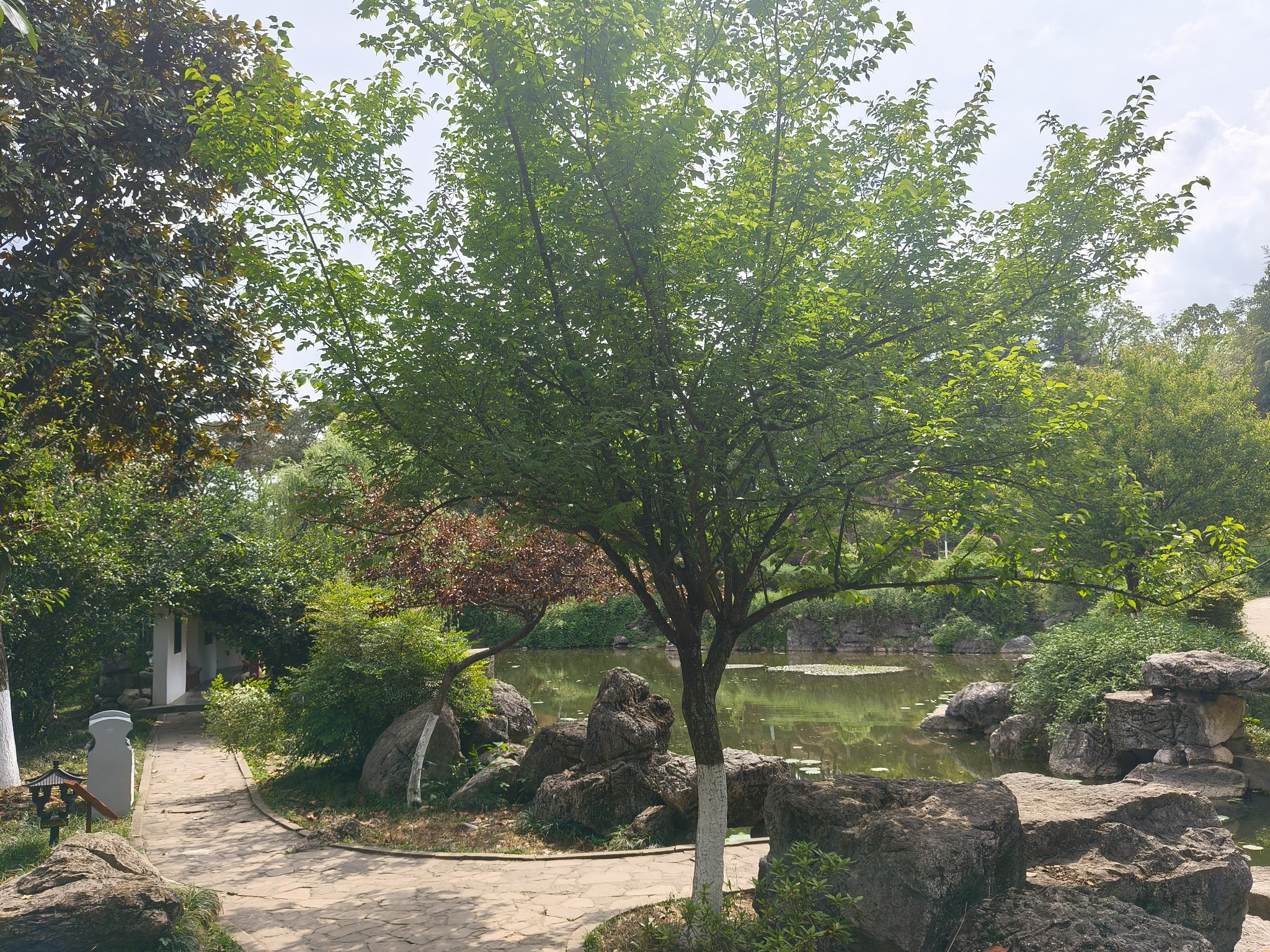 图片附件