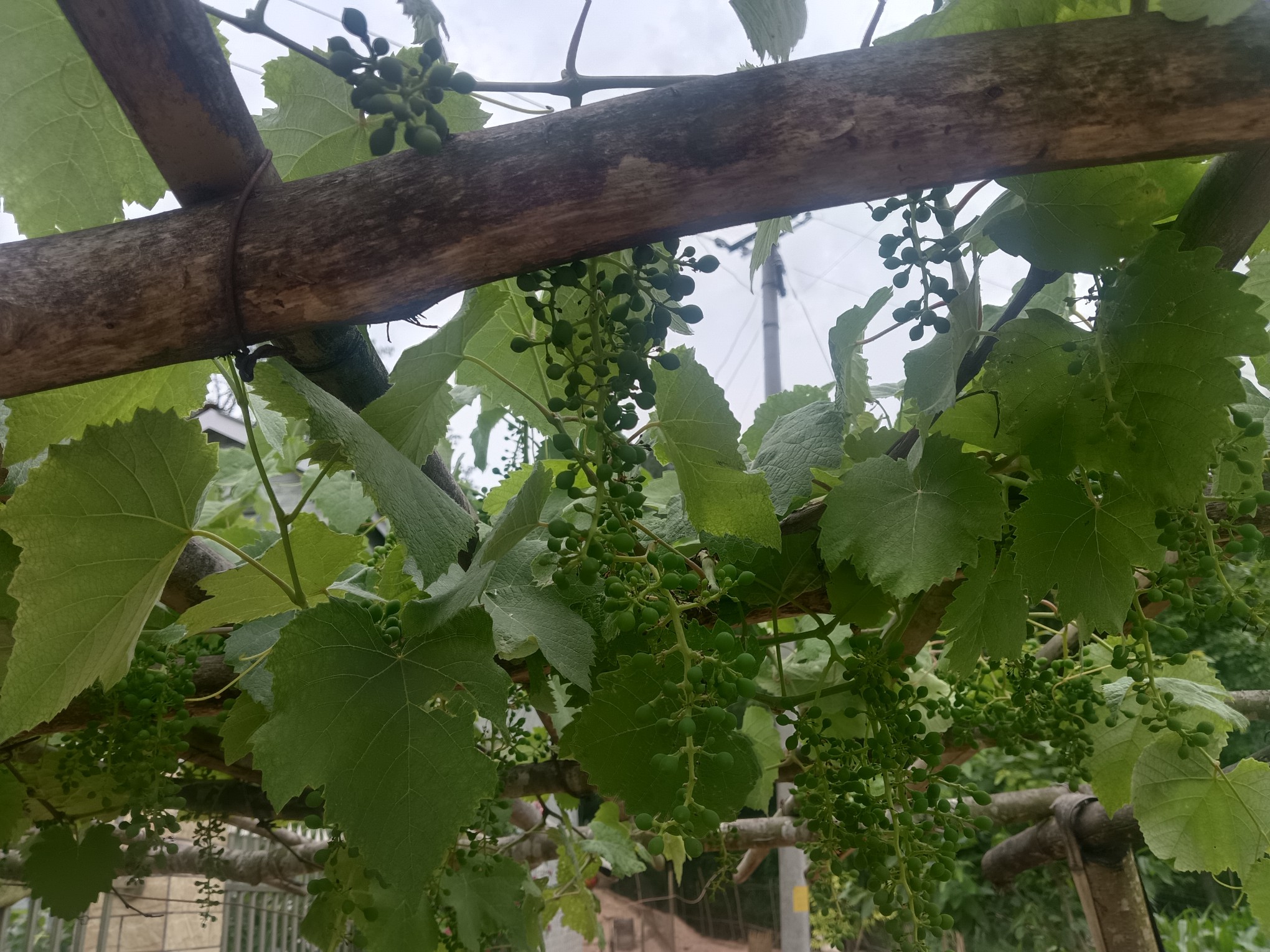 图片附件
