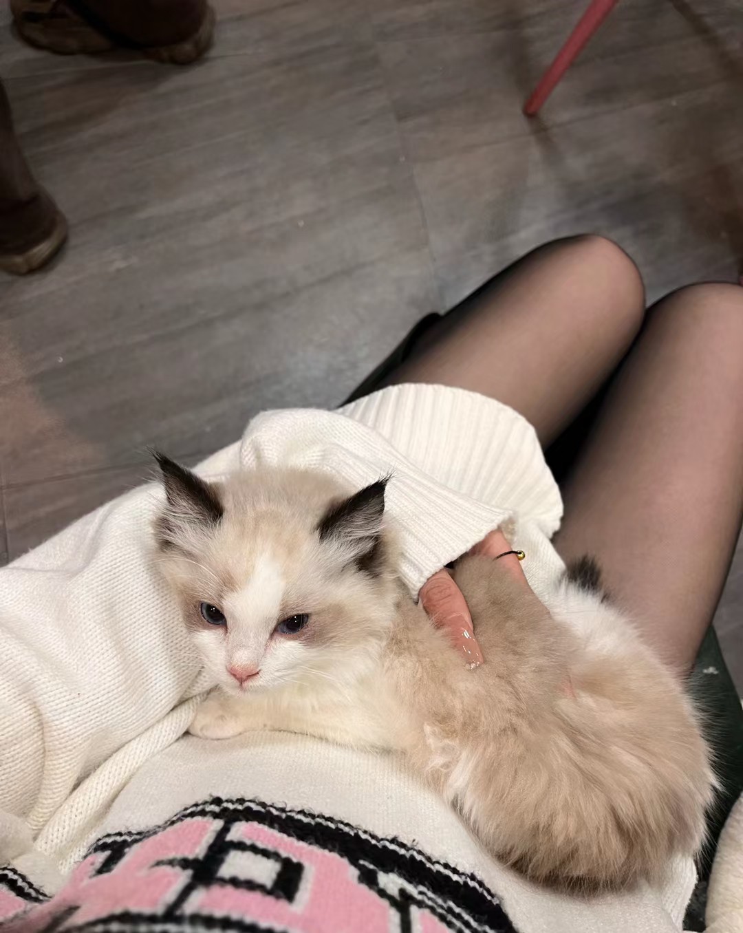 图片附件