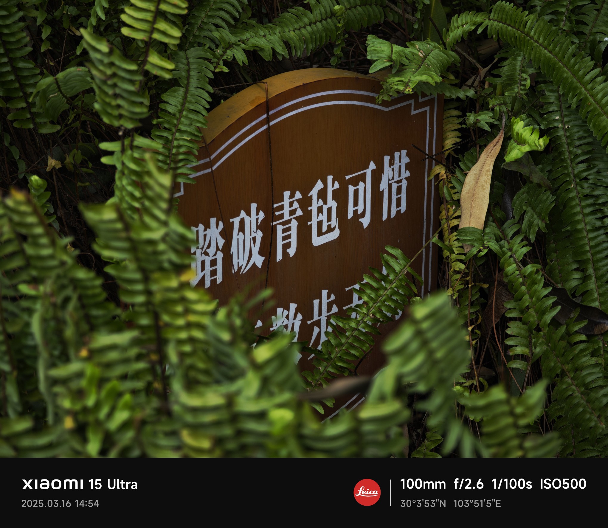 图片附件