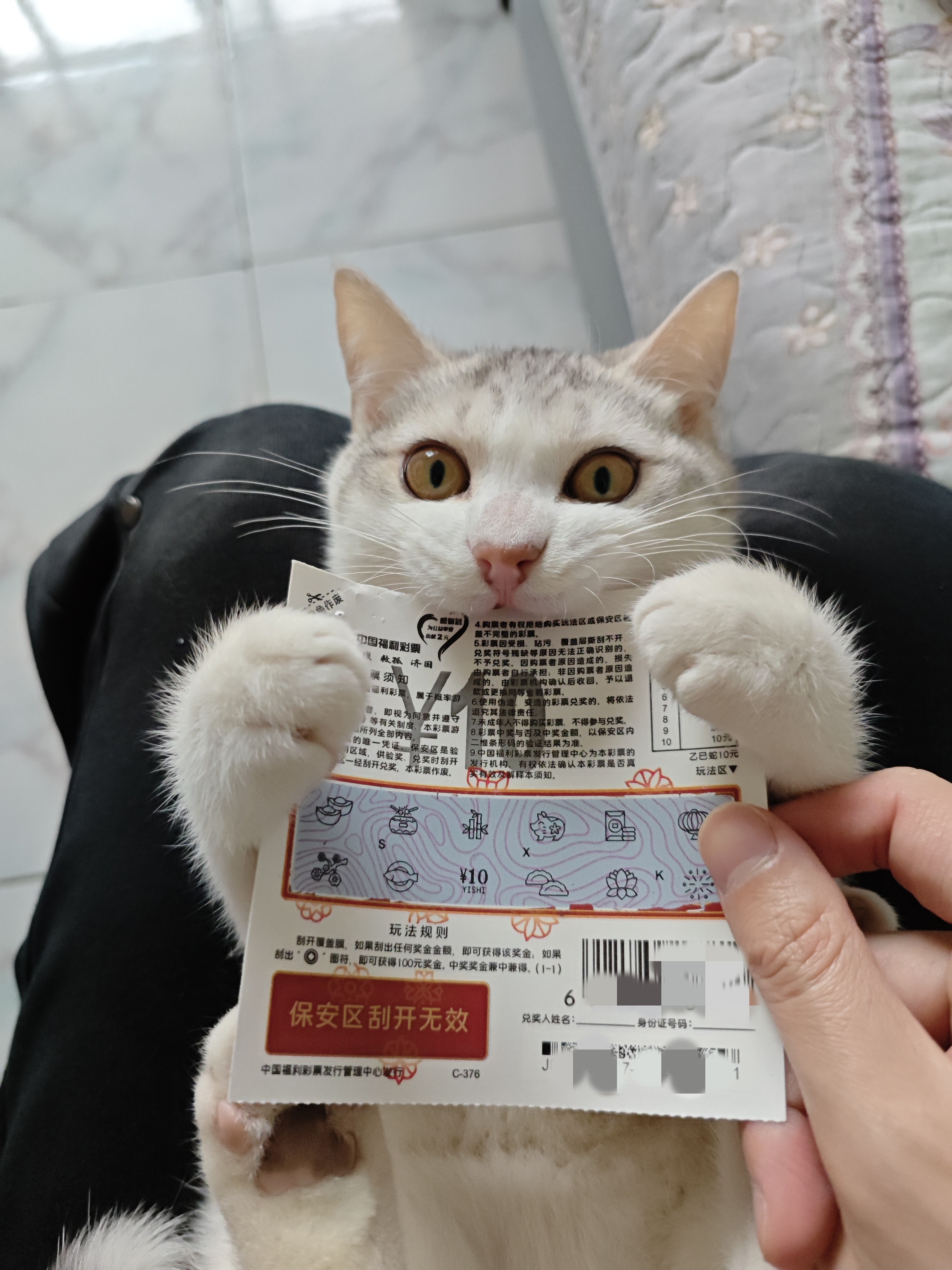 图片附件