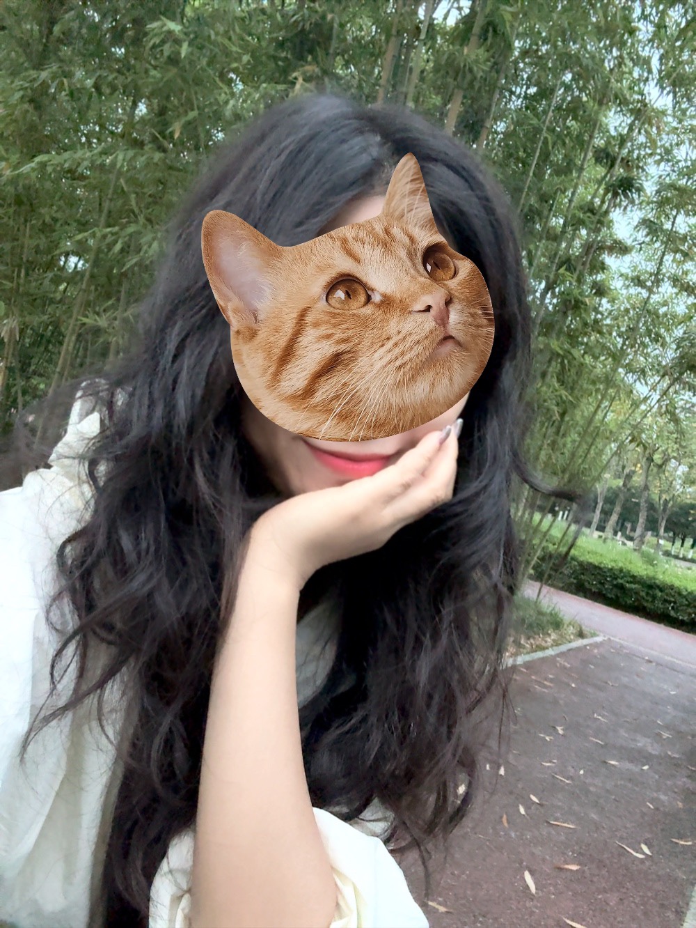 图片附件