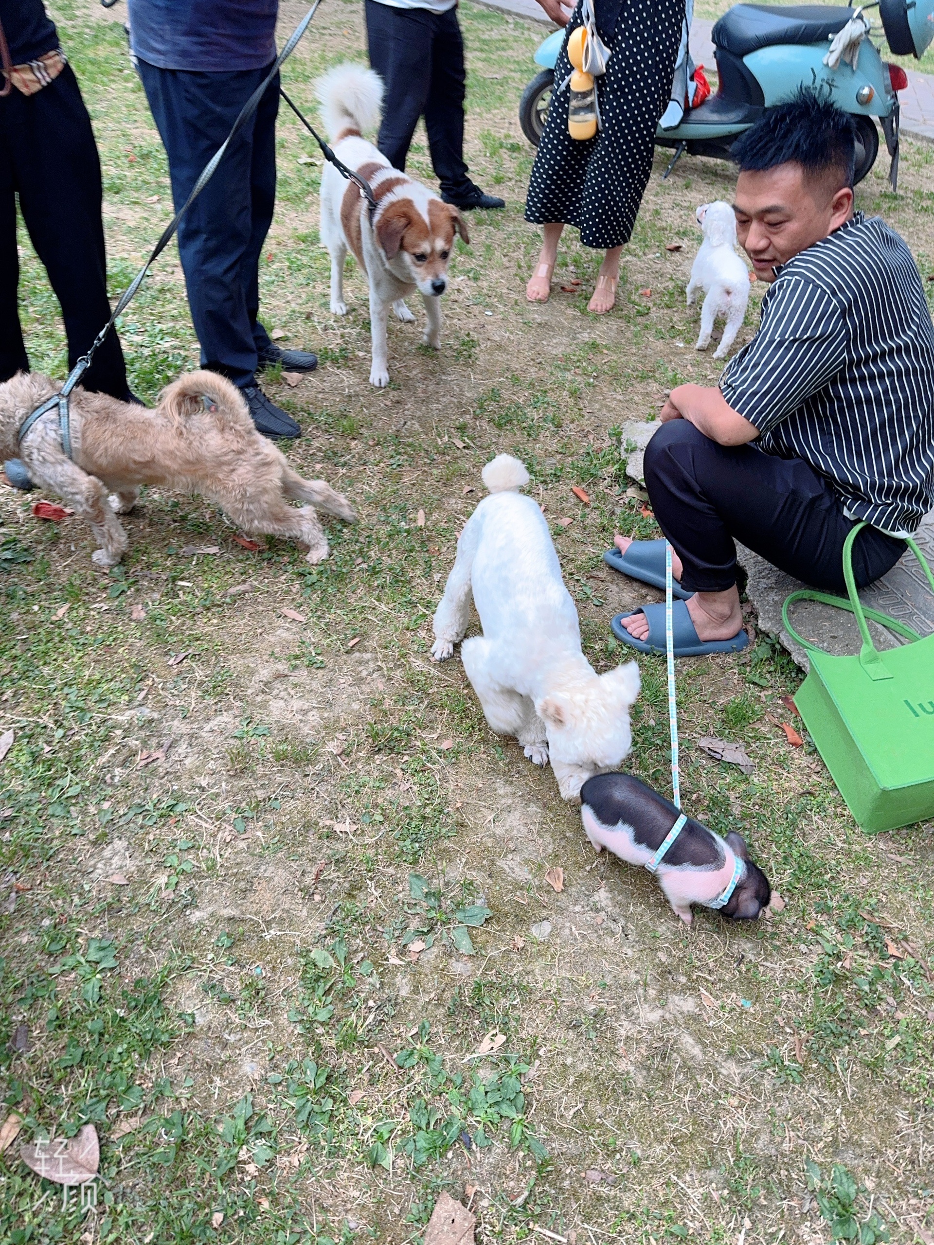 图片附件