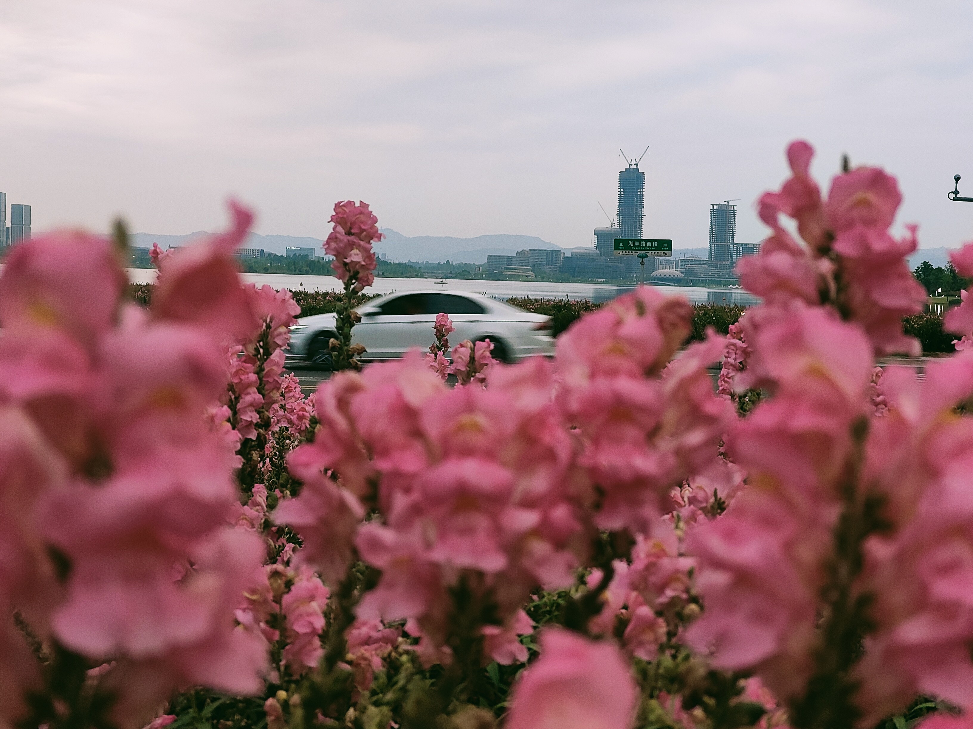 图片附件