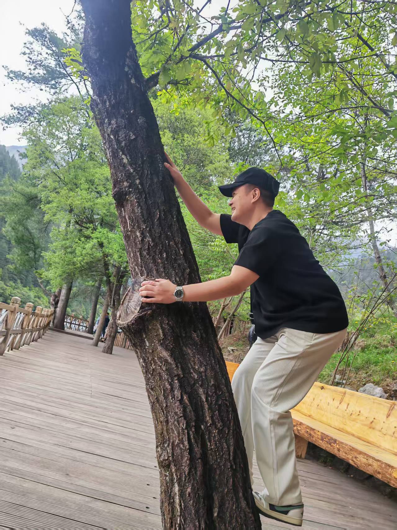图片附件