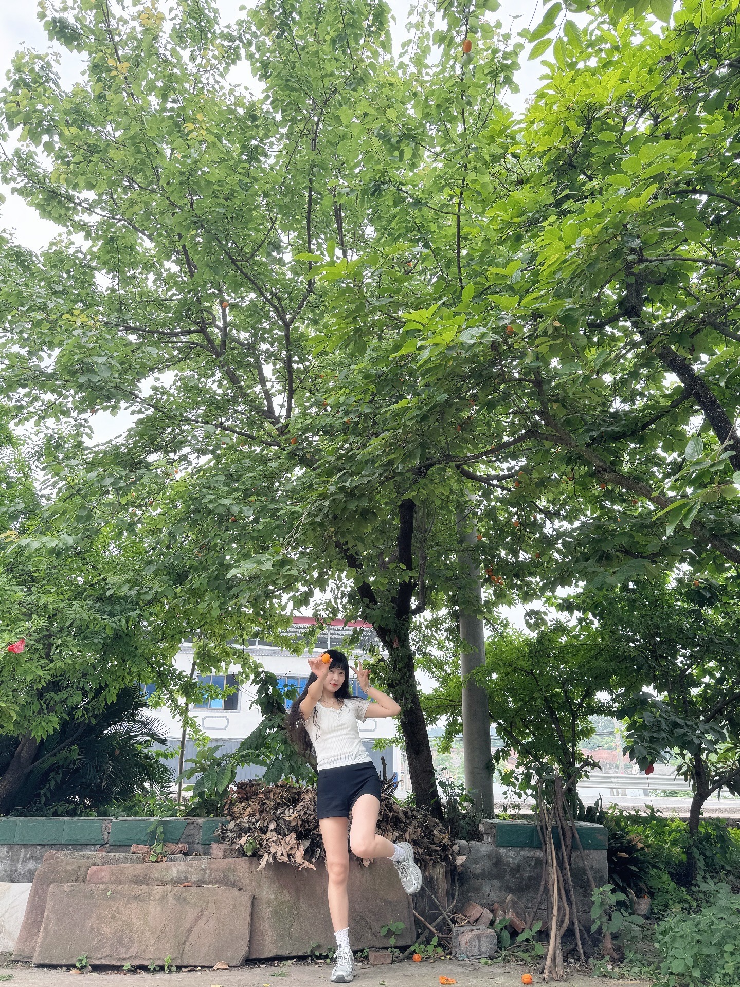 图片附件