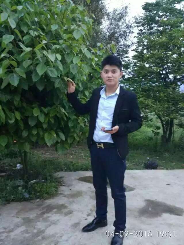 图片附件