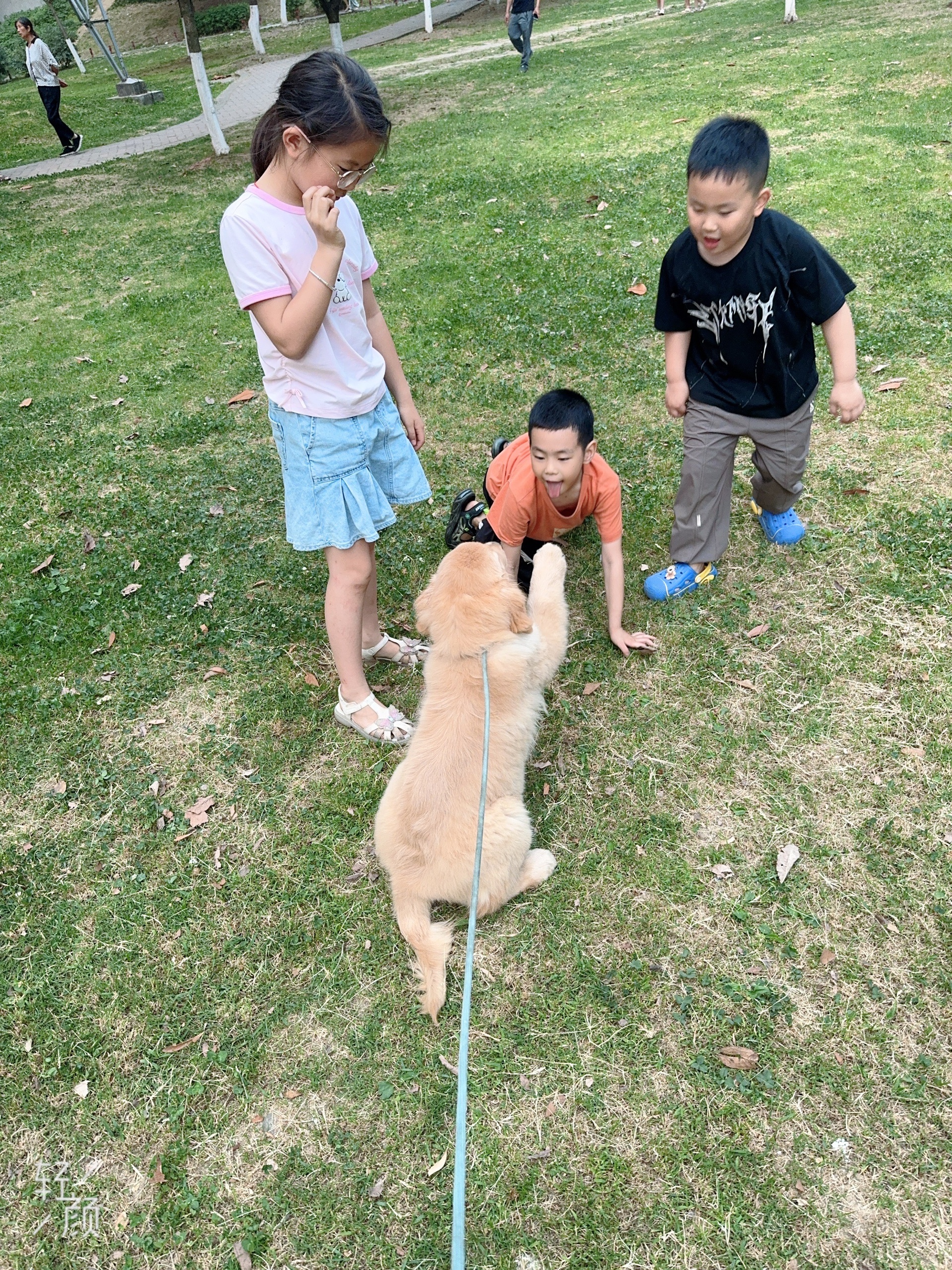 图片附件
