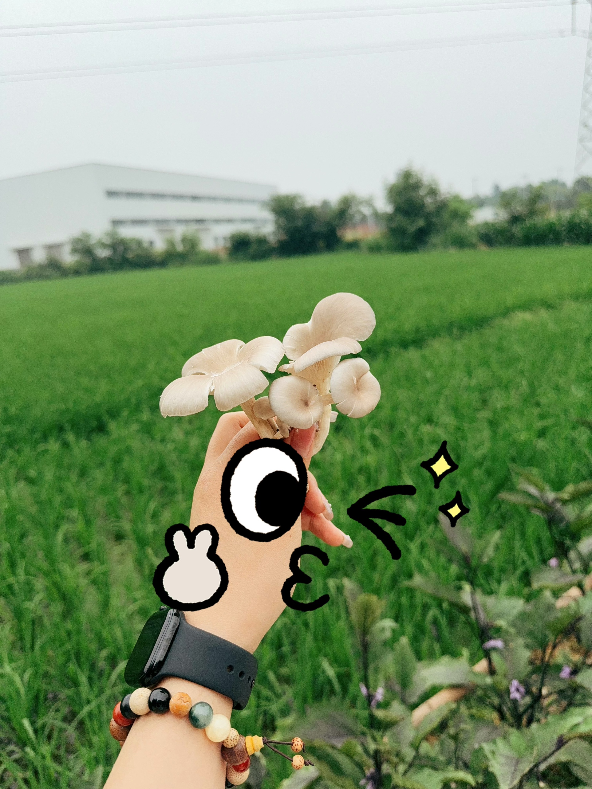 图片附件
