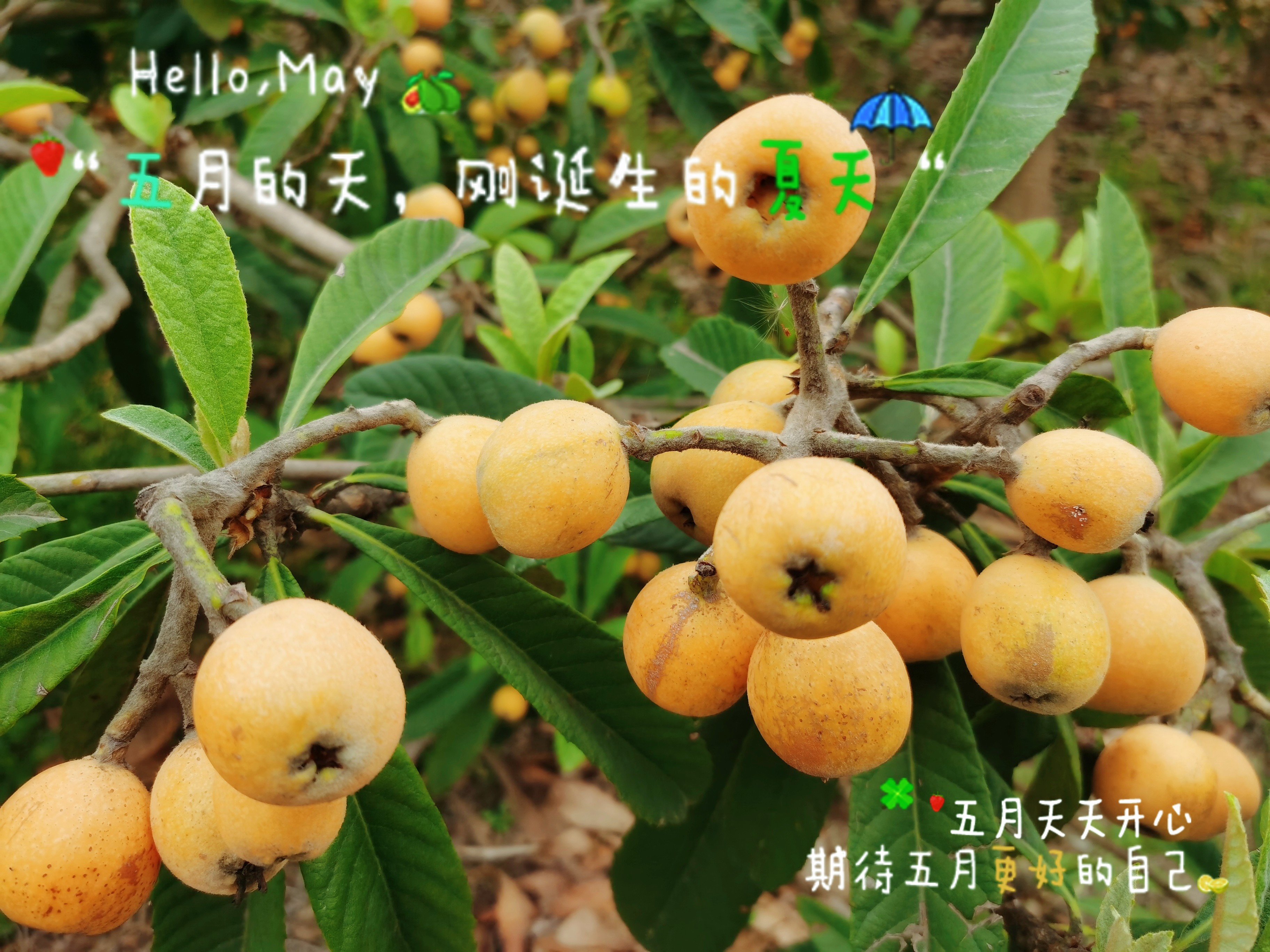 图片附件