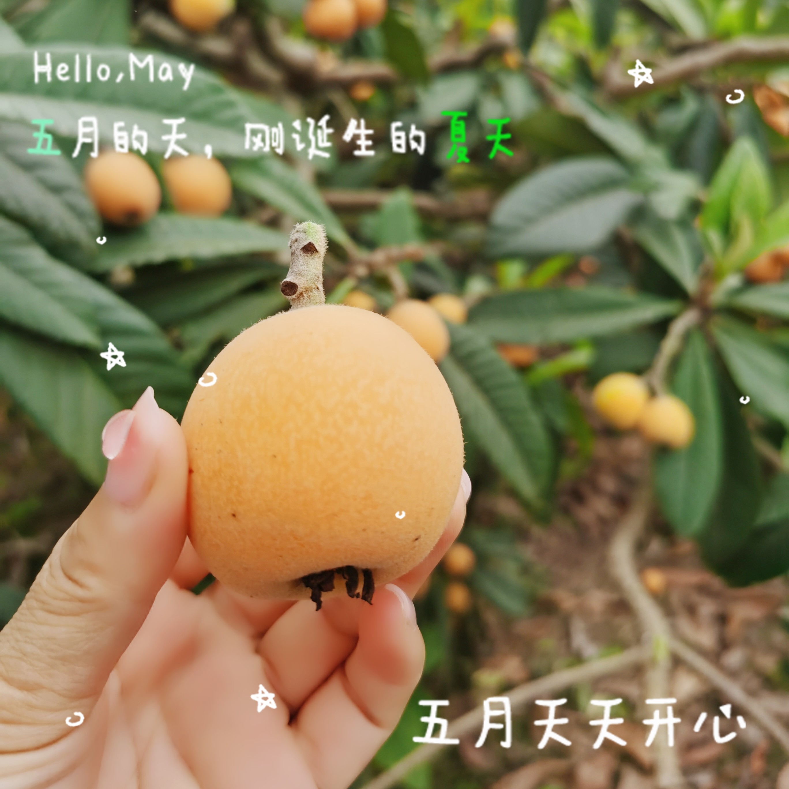图片附件