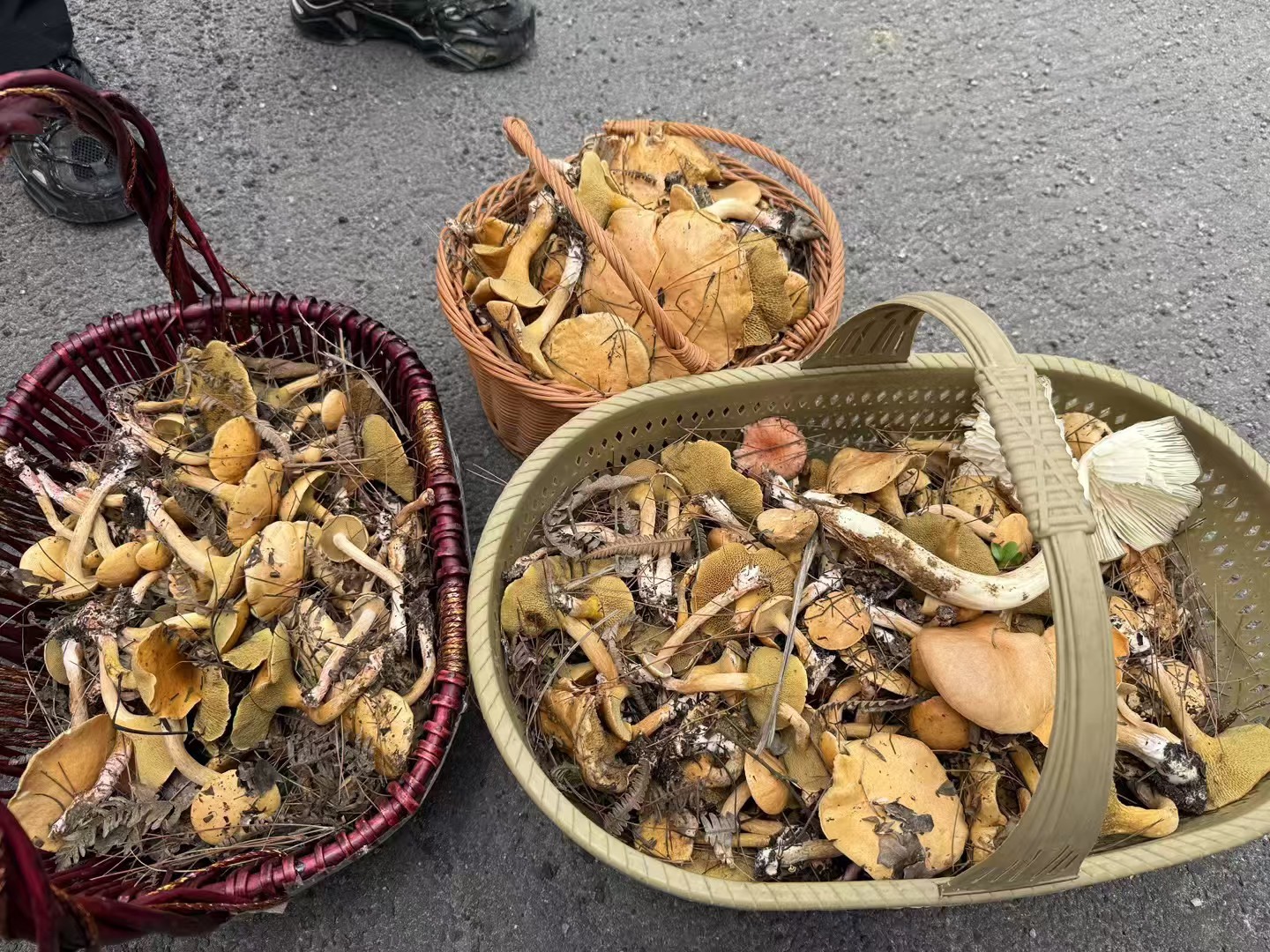图片附件