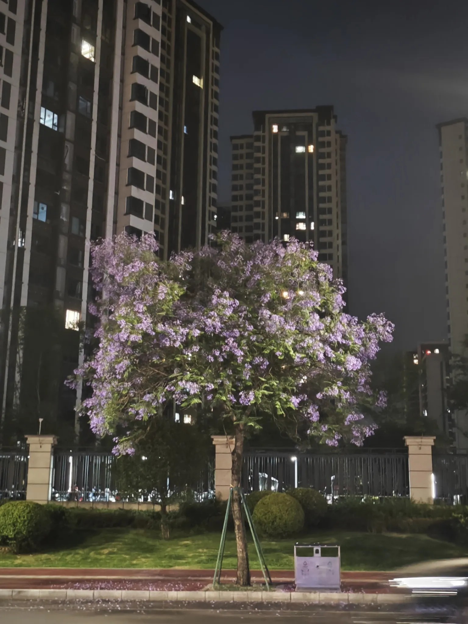 图片附件
