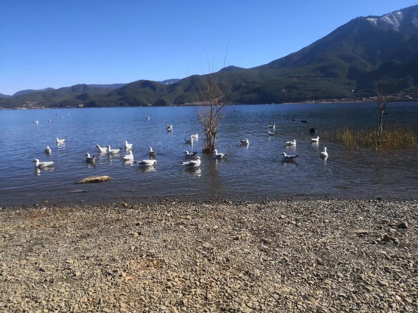 图片附件