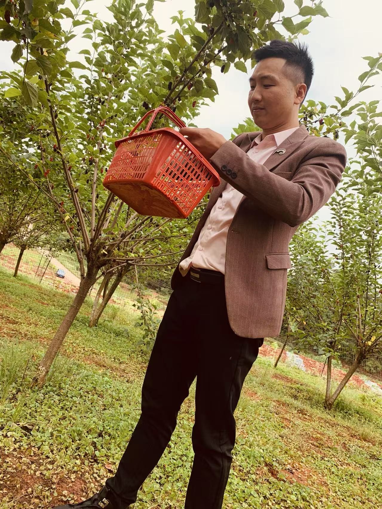 图片附件