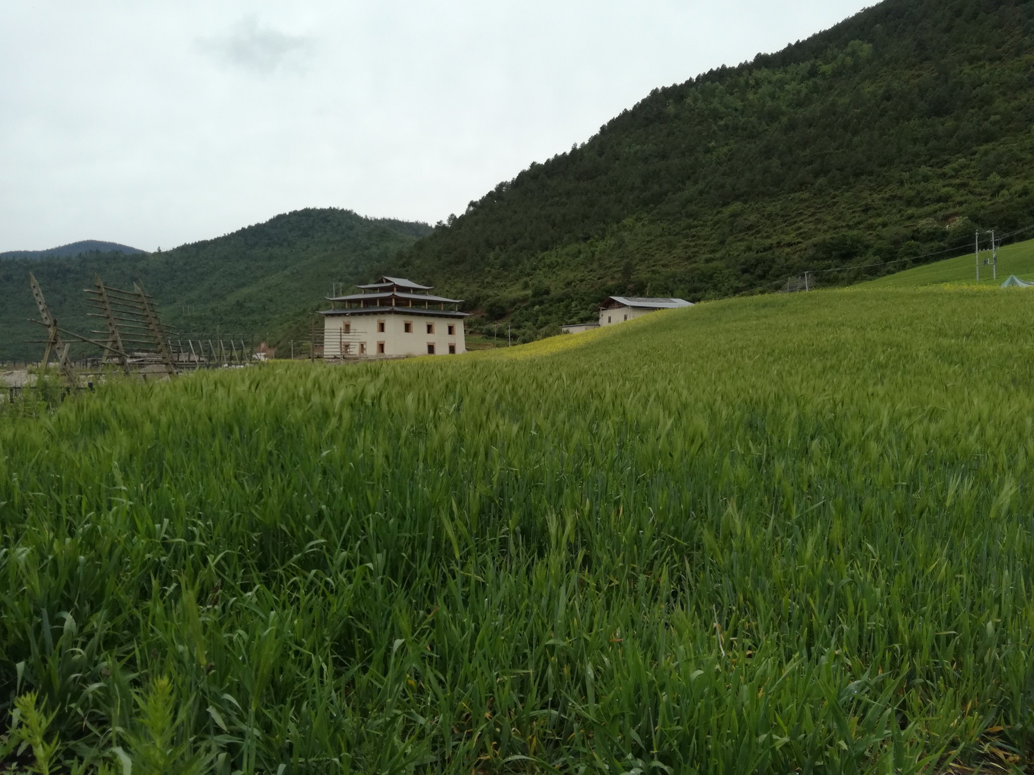 图片附件