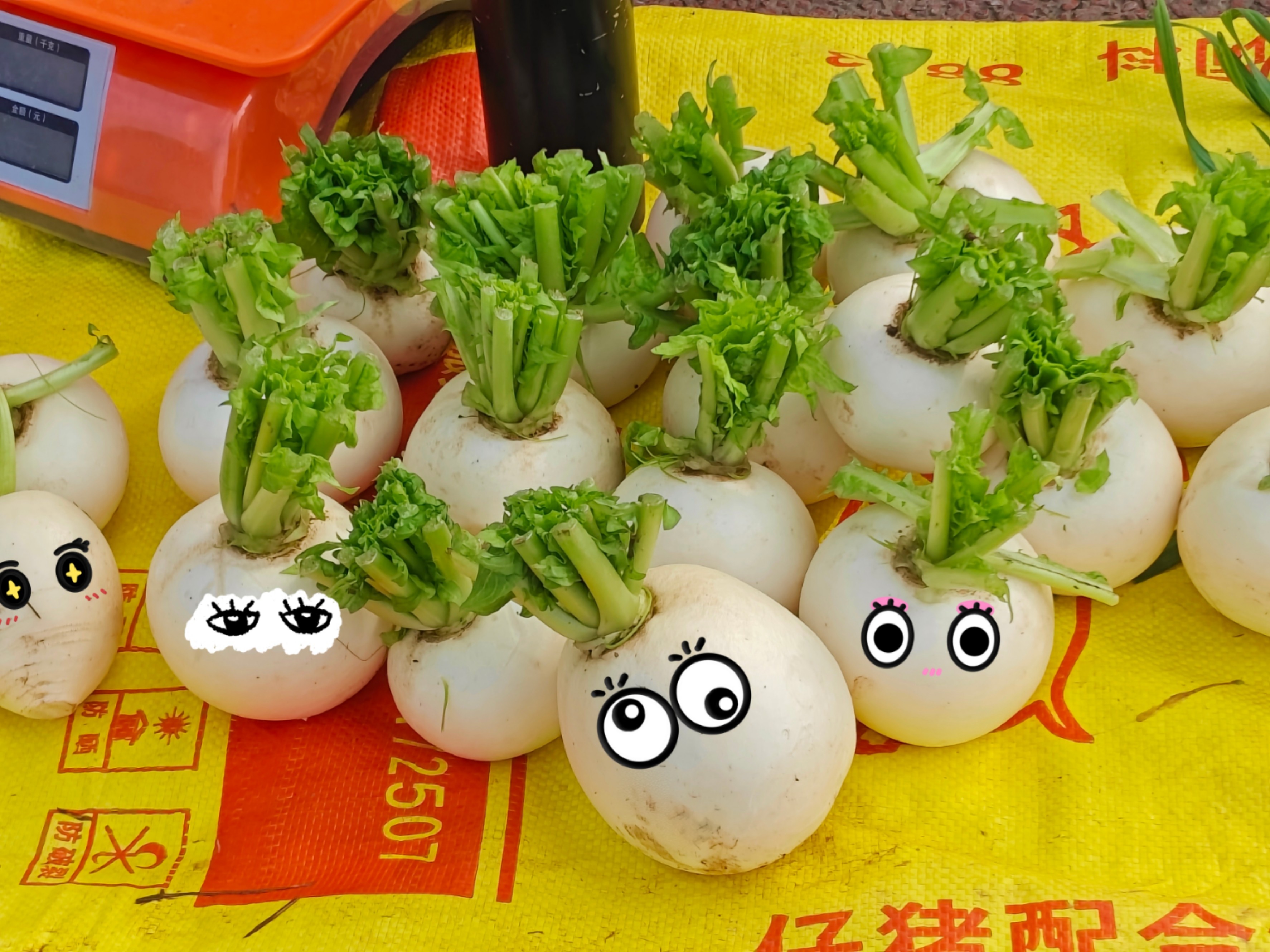 图片附件