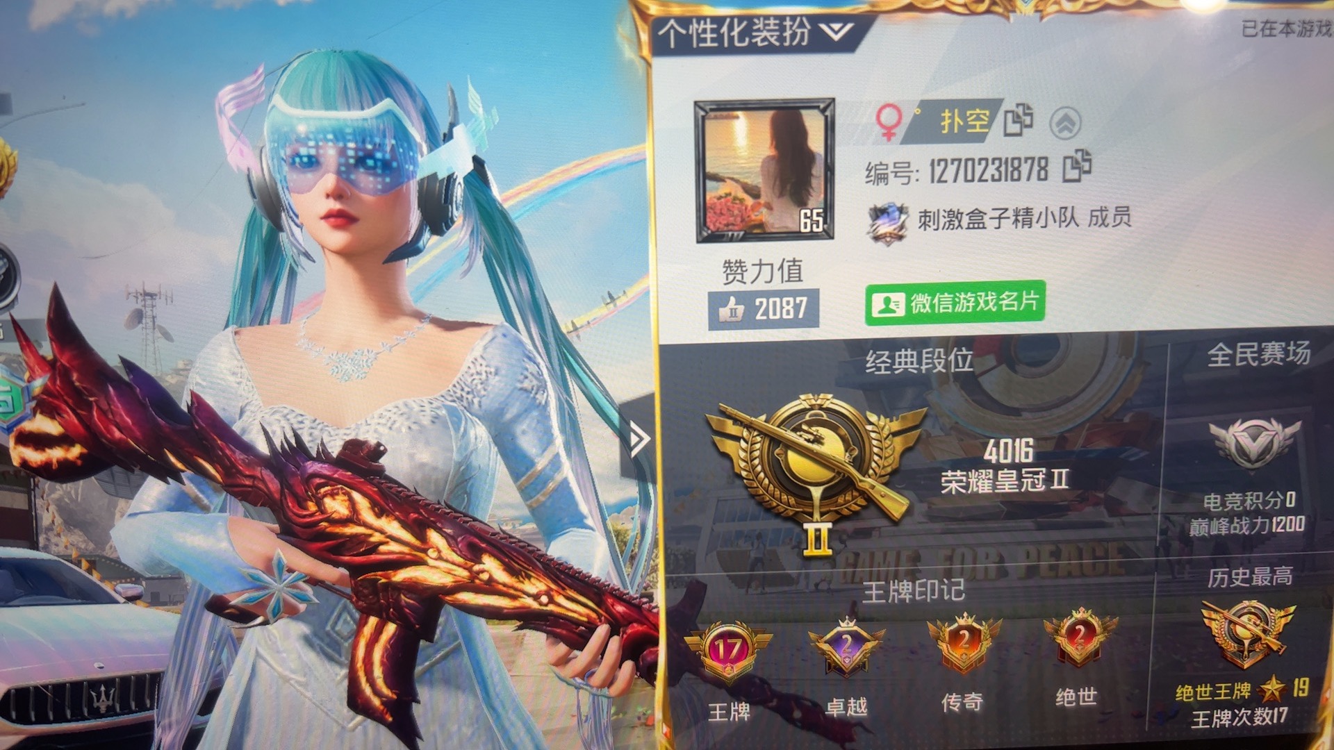 图片附件