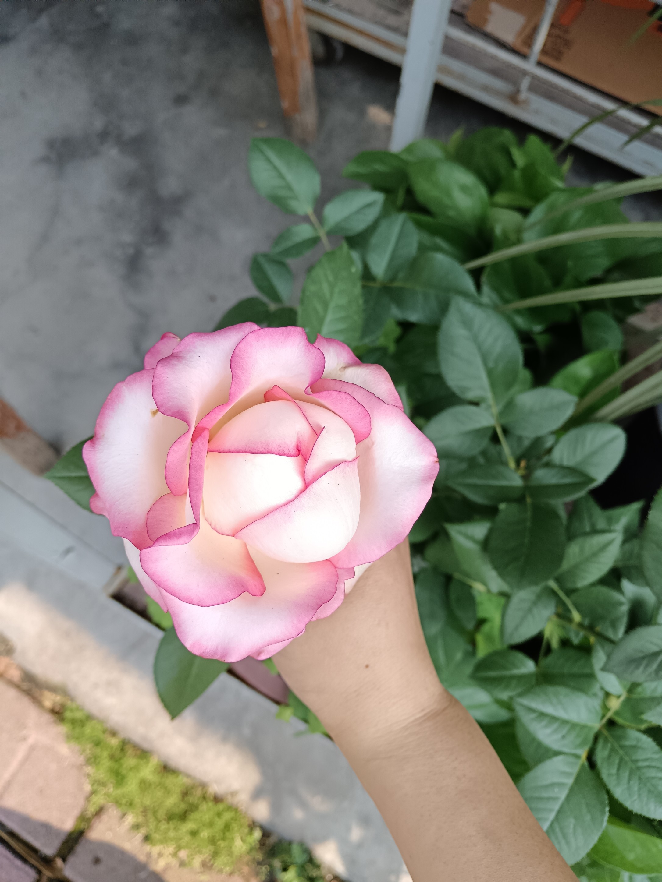 图片附件