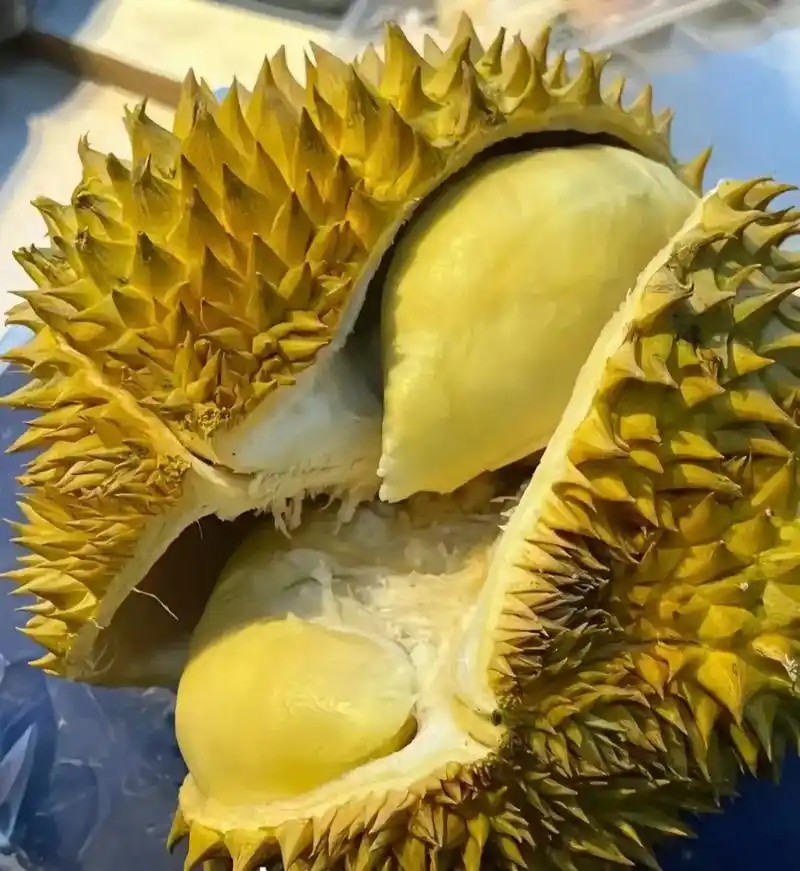 图片附件
