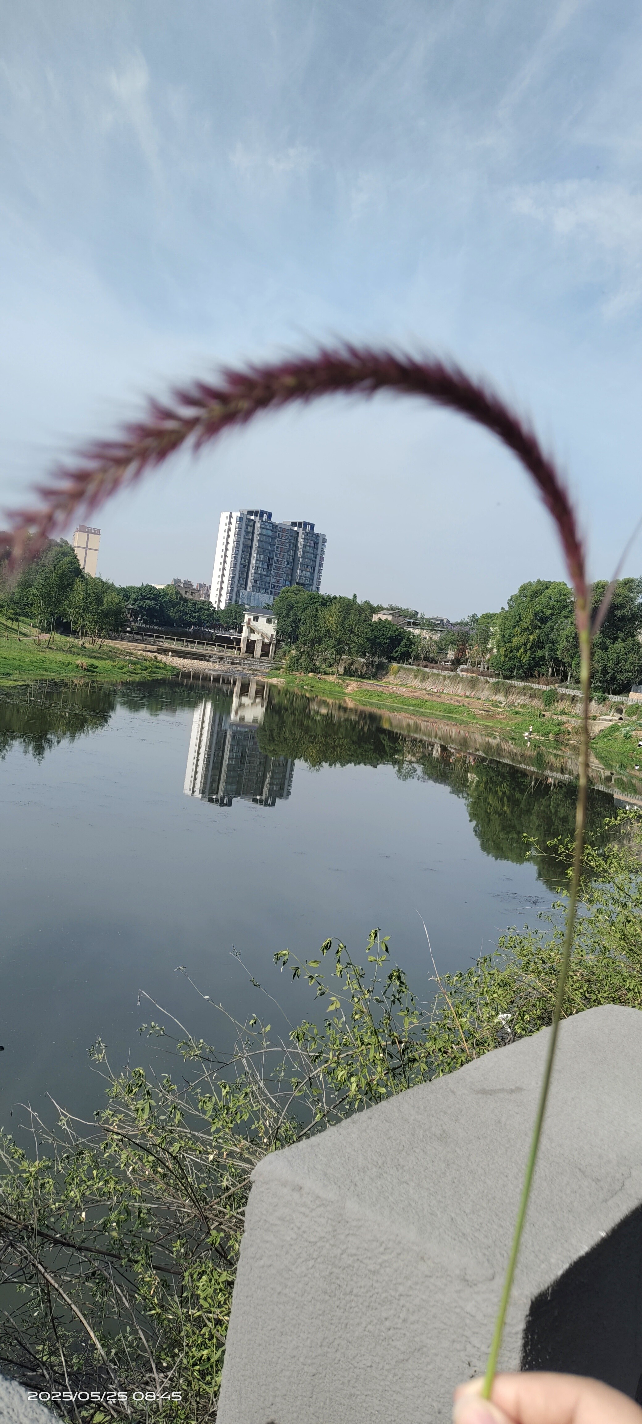 图片附件